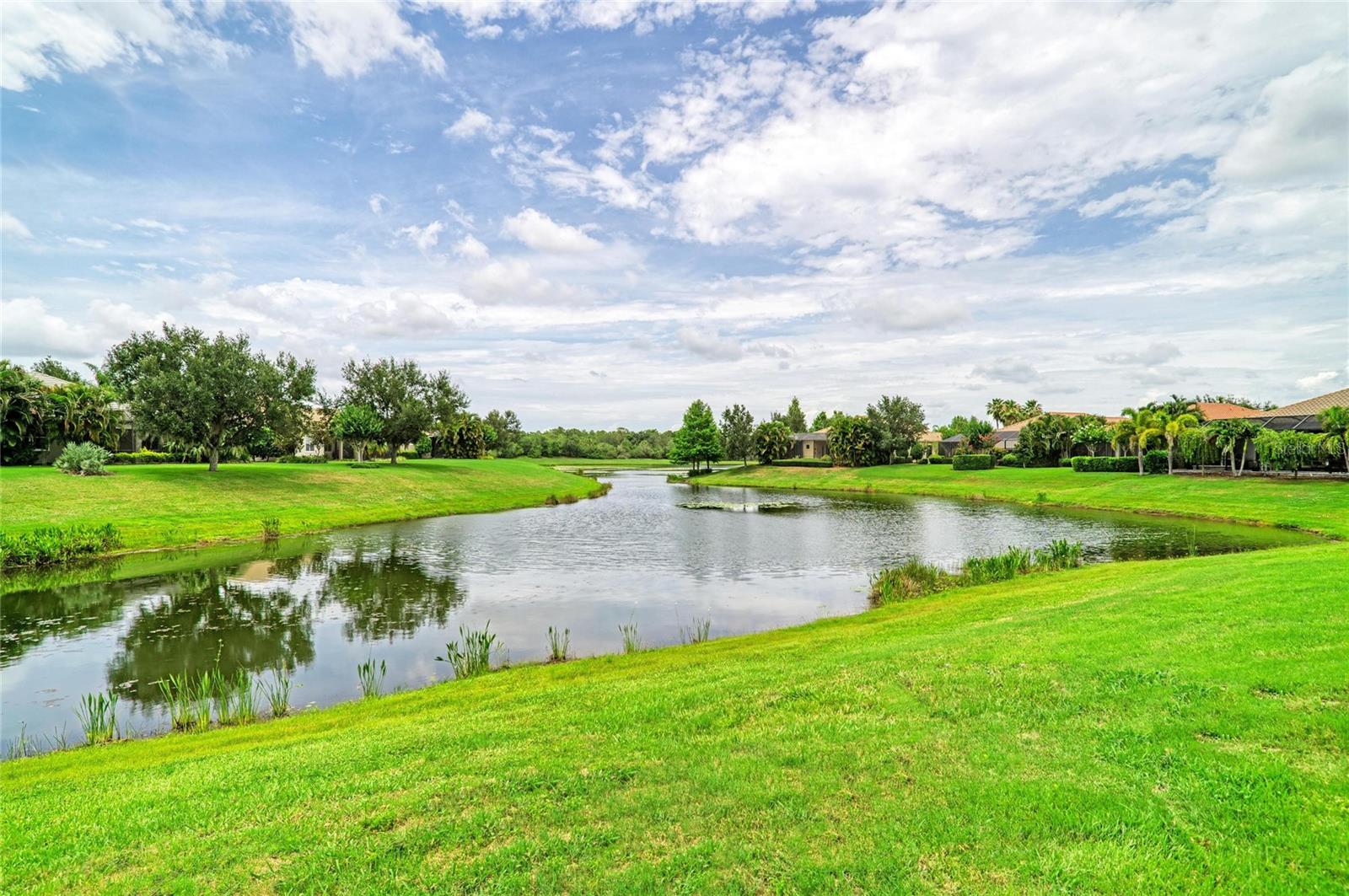 14507 STIRLING DR, LAKEWOOD RANCH, FL — photo 43