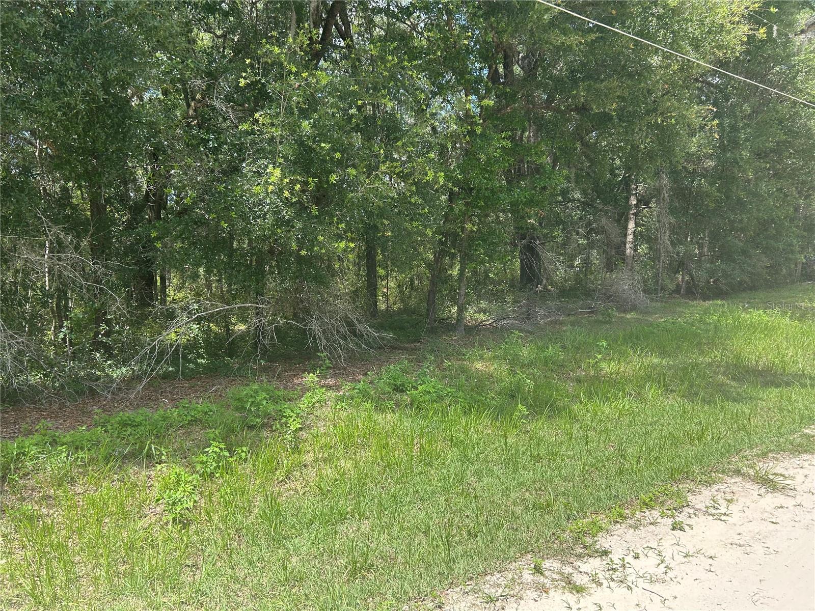 SW 111 LN, DUNNELLON, FL — photo 4