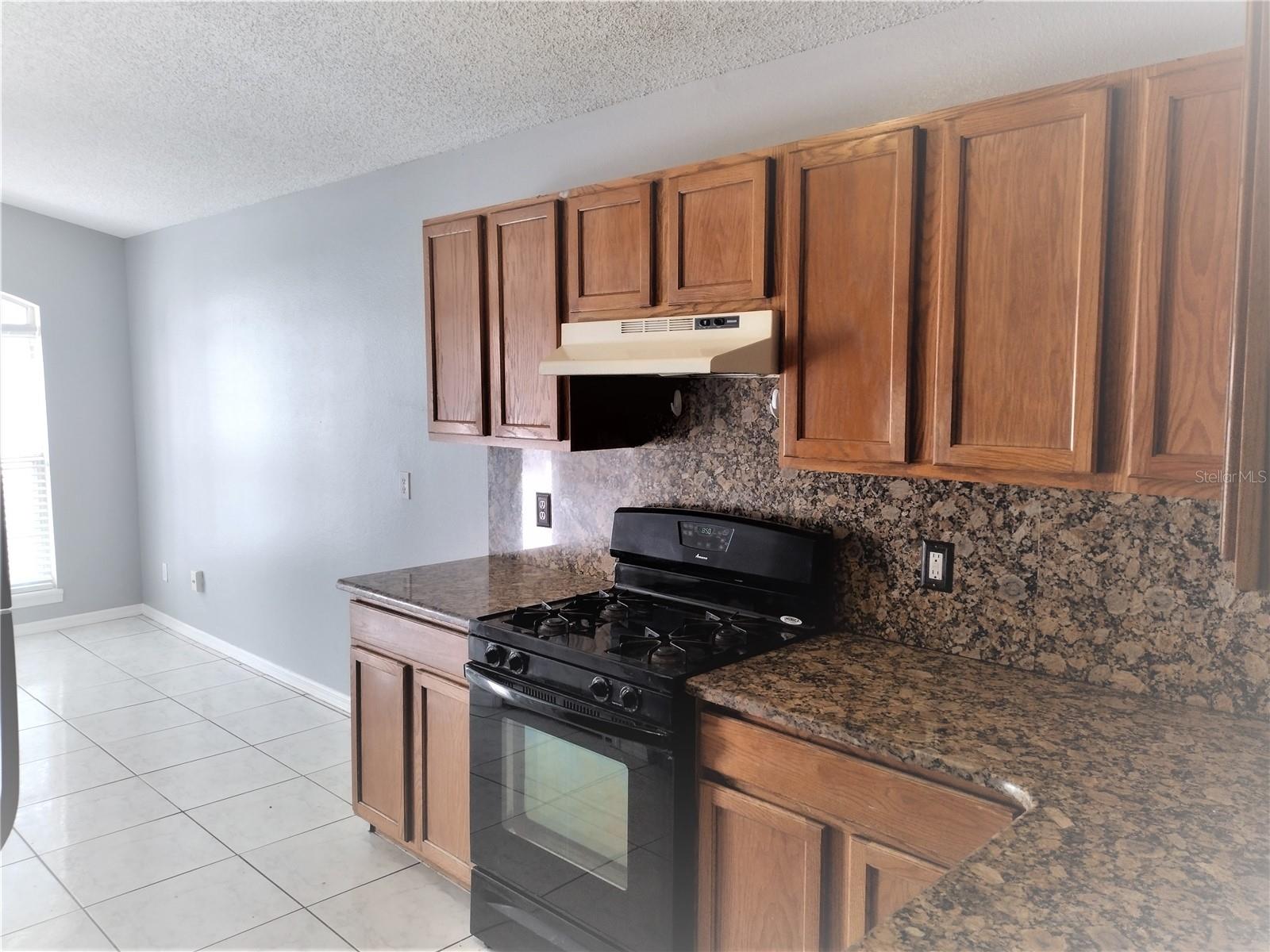 2358 BLUE SAPPHIRE CIR, ORLANDO, FL — photo 8