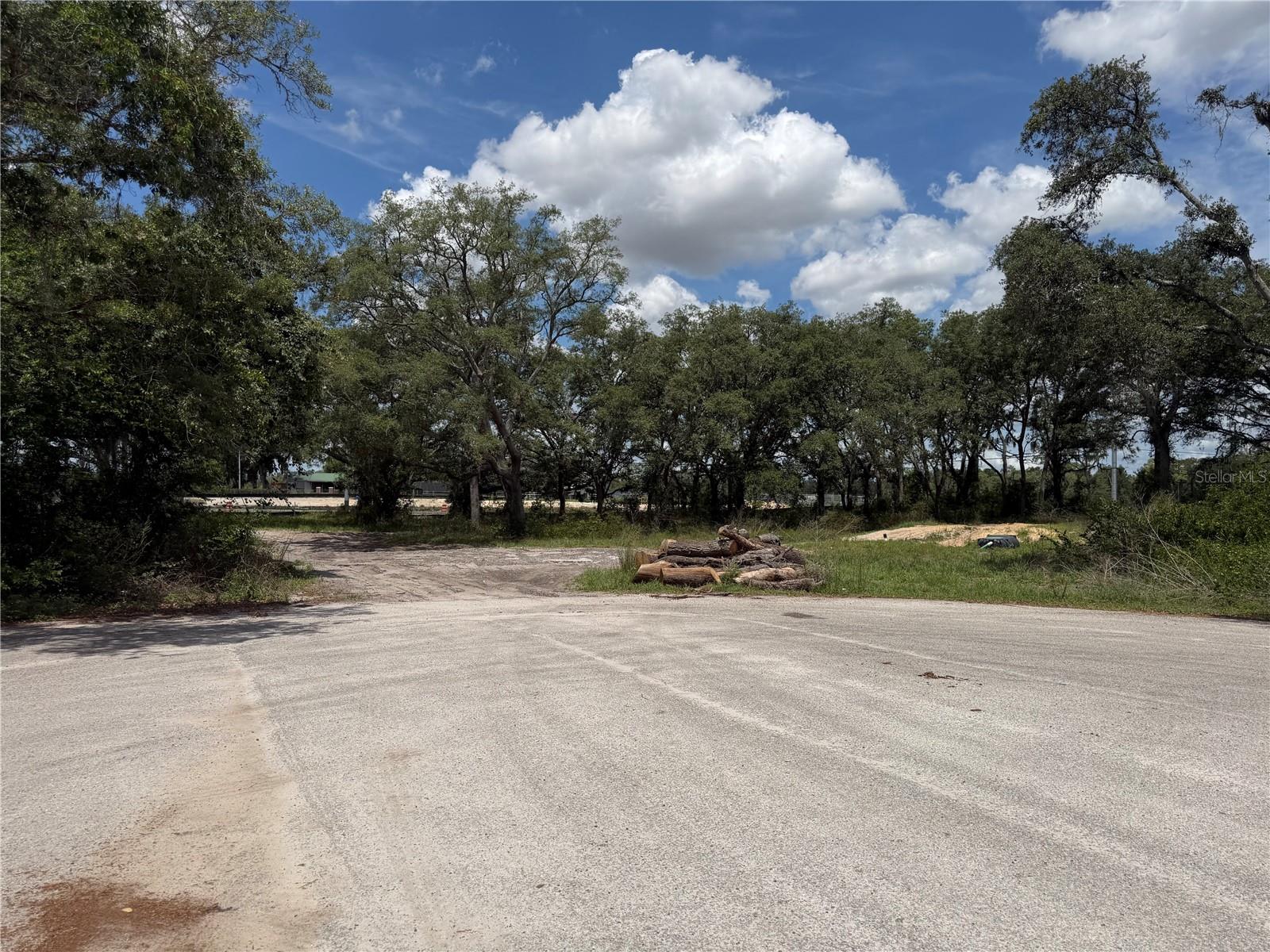 3310 TREIMAN BLVD, DADE CITY, FL — photo 3
