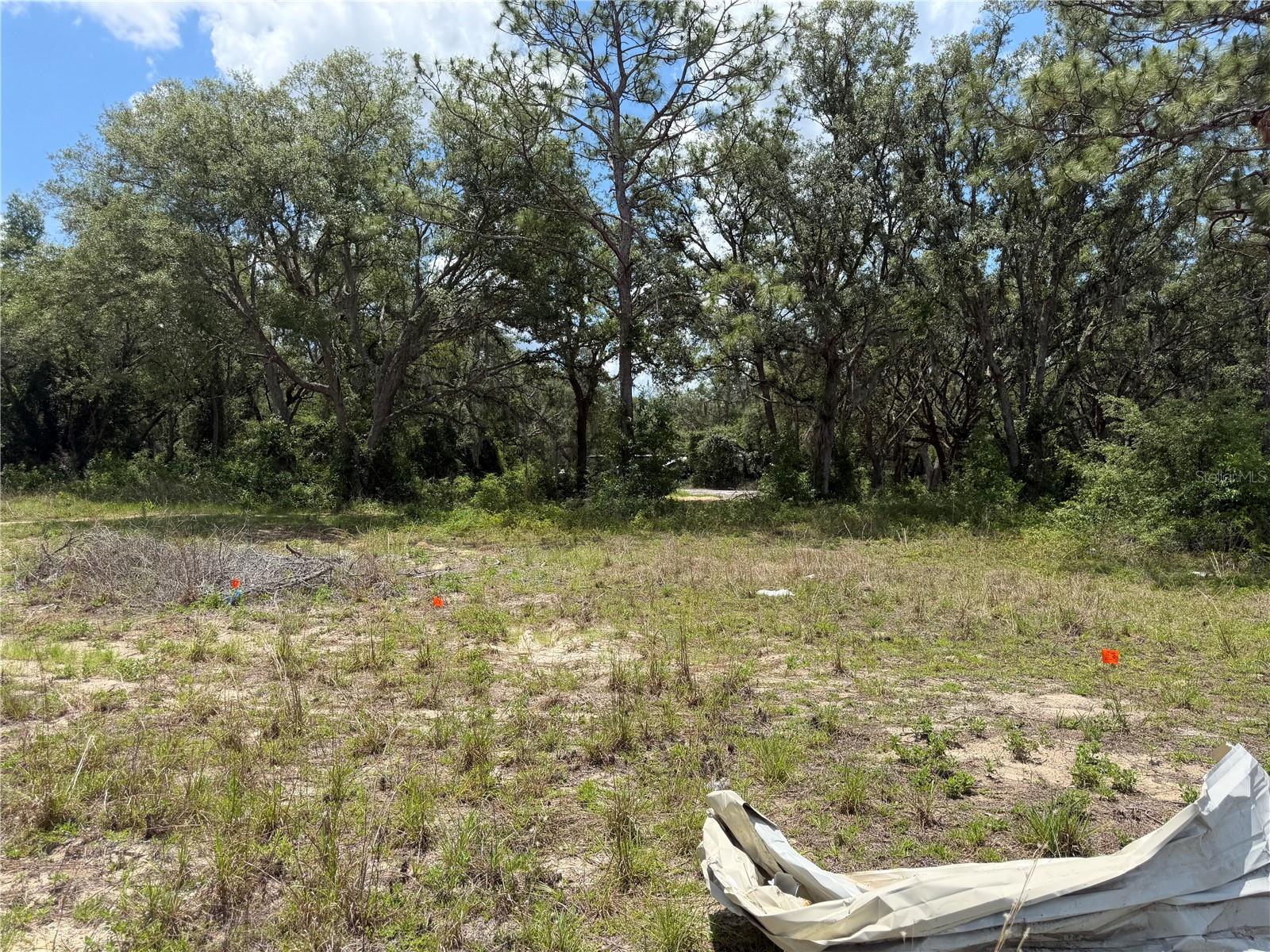 3310 TREIMAN BLVD, DADE CITY, FL — photo 11