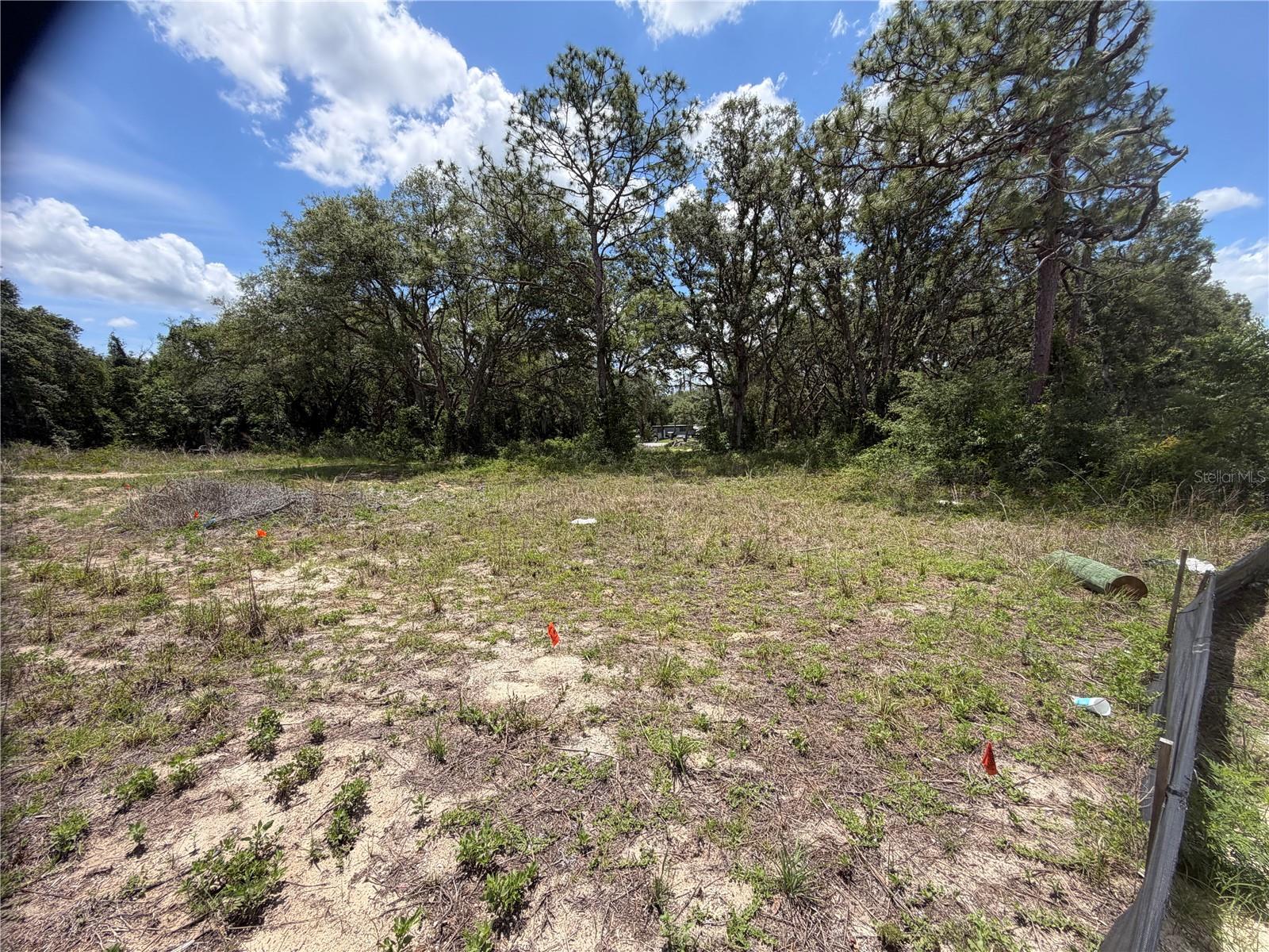 3310 TREIMAN BLVD, DADE CITY, FL — photo 14