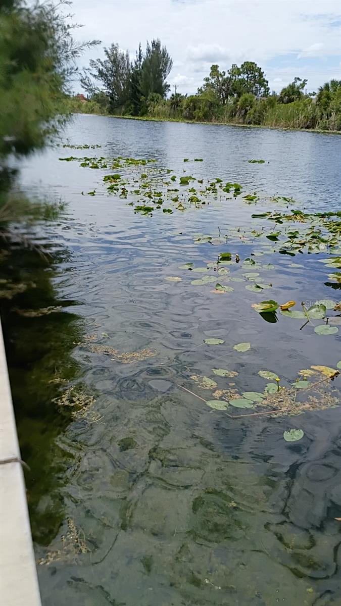 2918 NW 14TH TER, CAPE CORAL, FL — photo 4