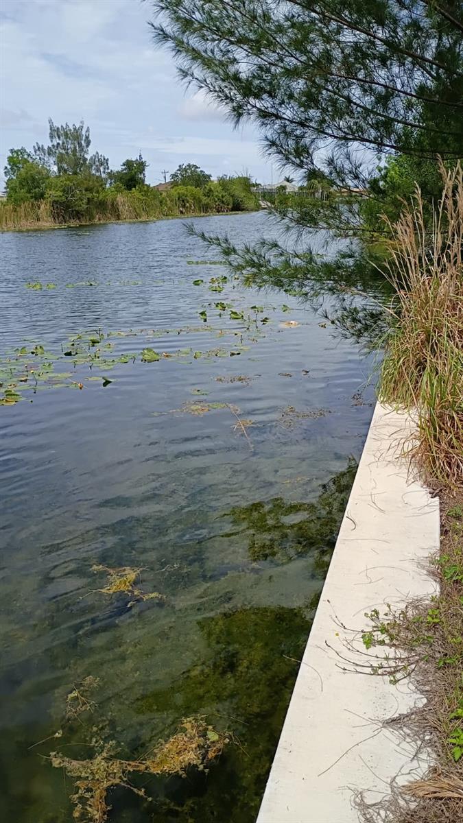 2918 NW 14TH TER, CAPE CORAL, FL — photo 5