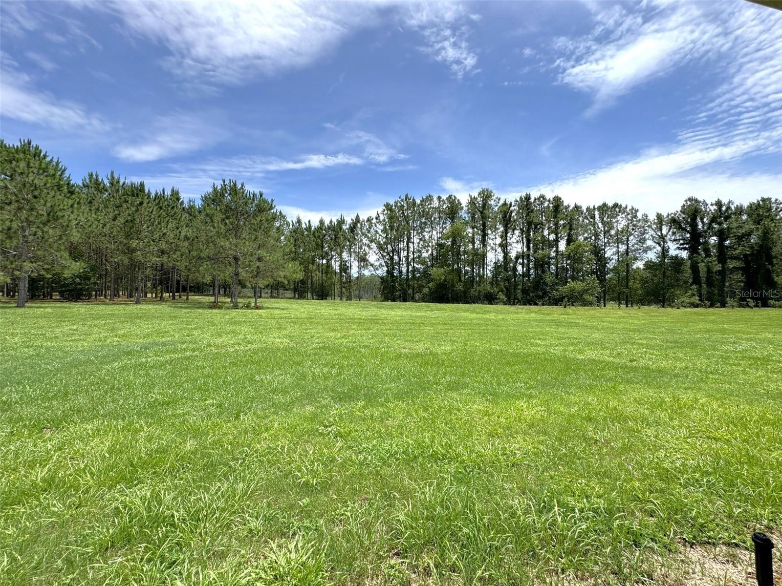 1724 E GATE DANCER CIR, INVERNESS, FL — photo 28