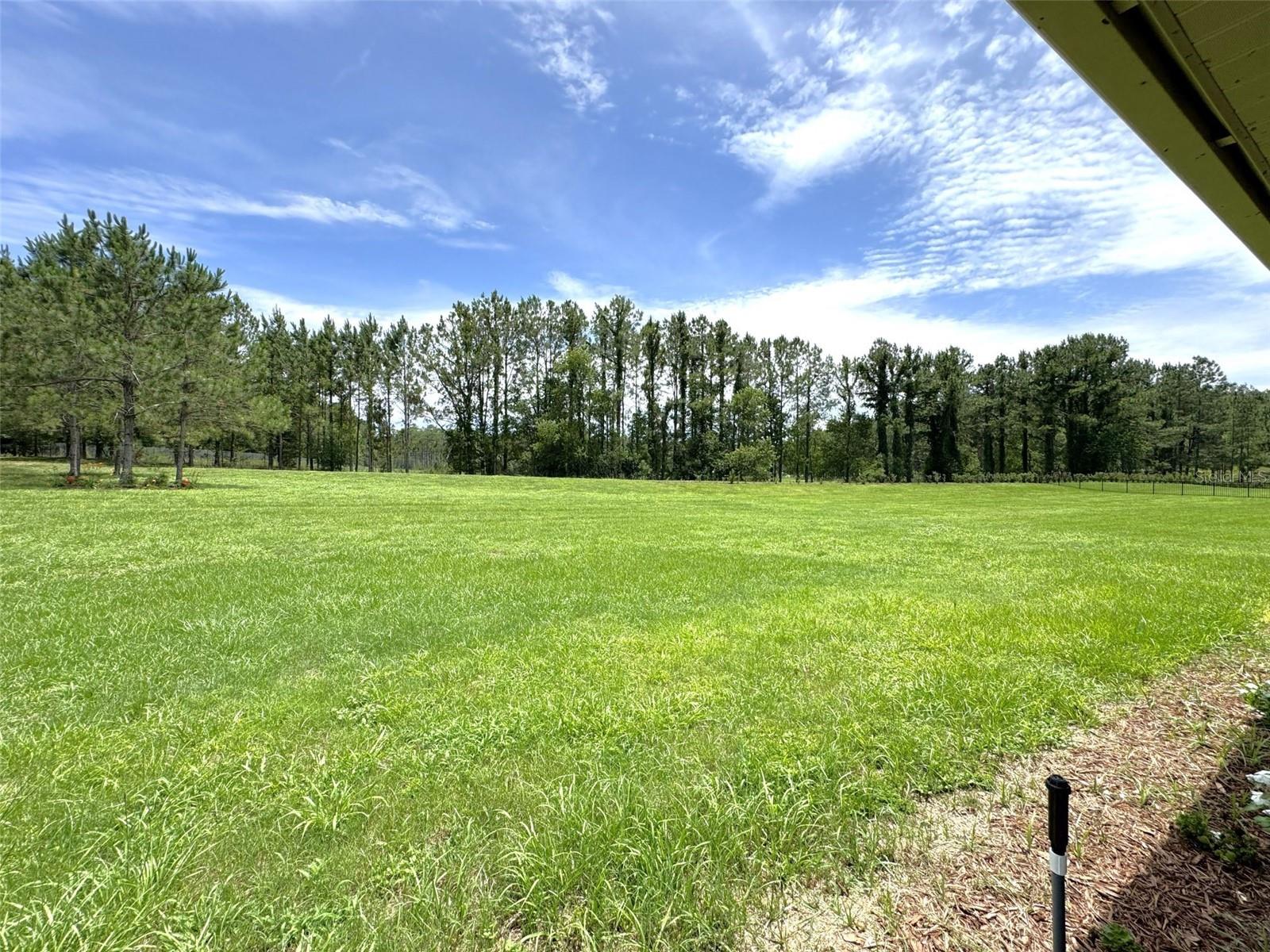 1724 E GATE DANCER CIR, INVERNESS, FL — photo 29