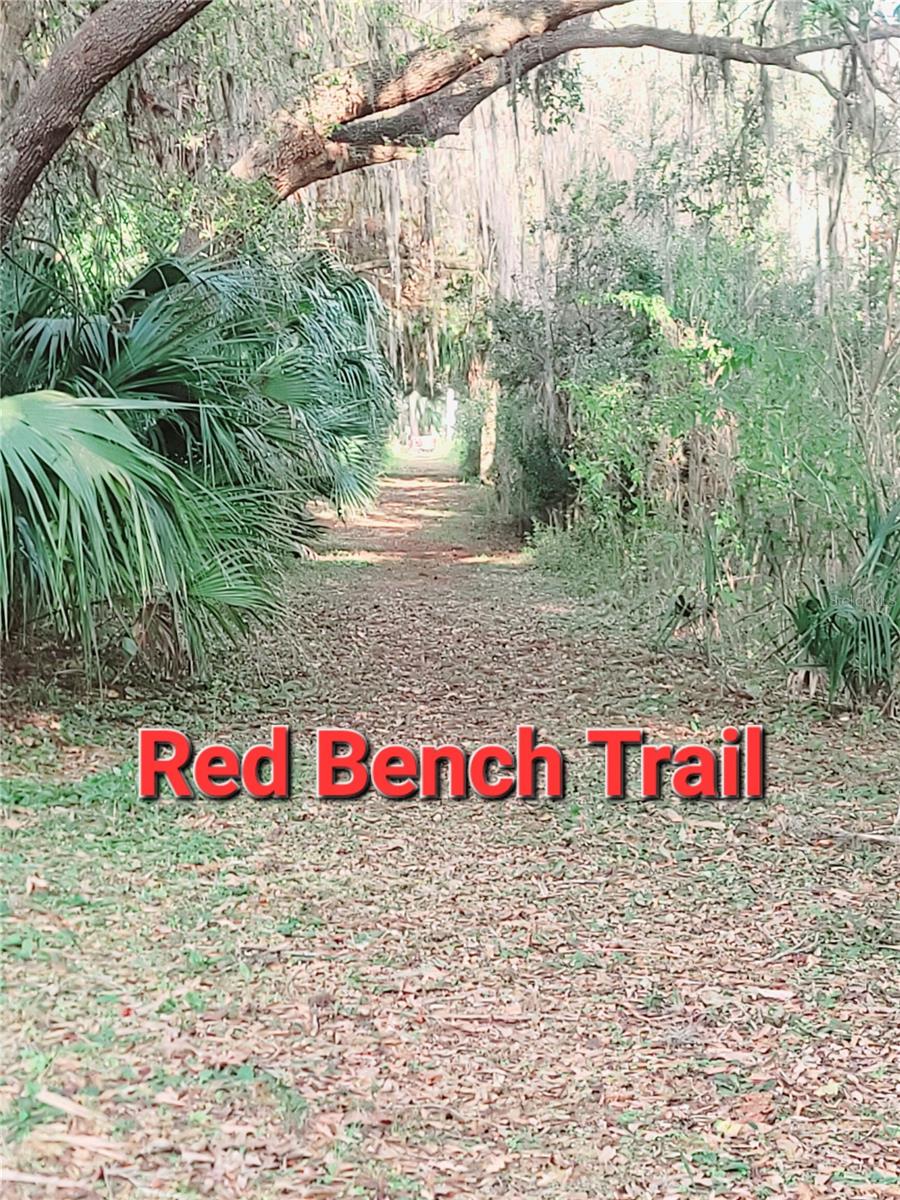 410 LANDING BLVD #1, INVERNESS, FL — photo 24