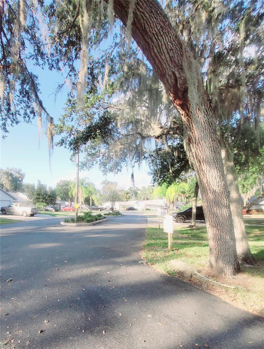 410 LANDING BLVD #1, INVERNESS, FL — photo 28