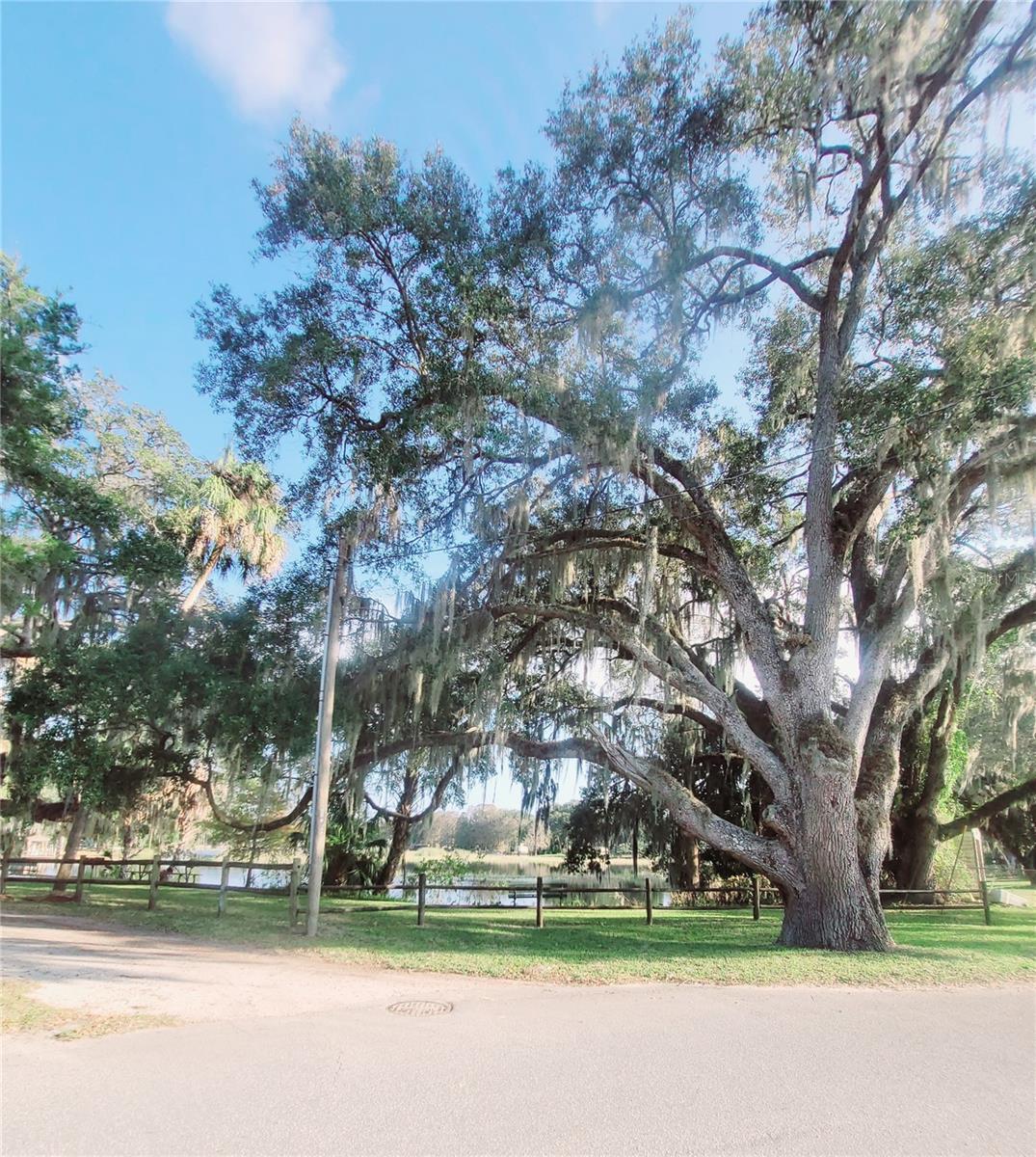 410 LANDING BLVD #1, INVERNESS, FL — photo 29