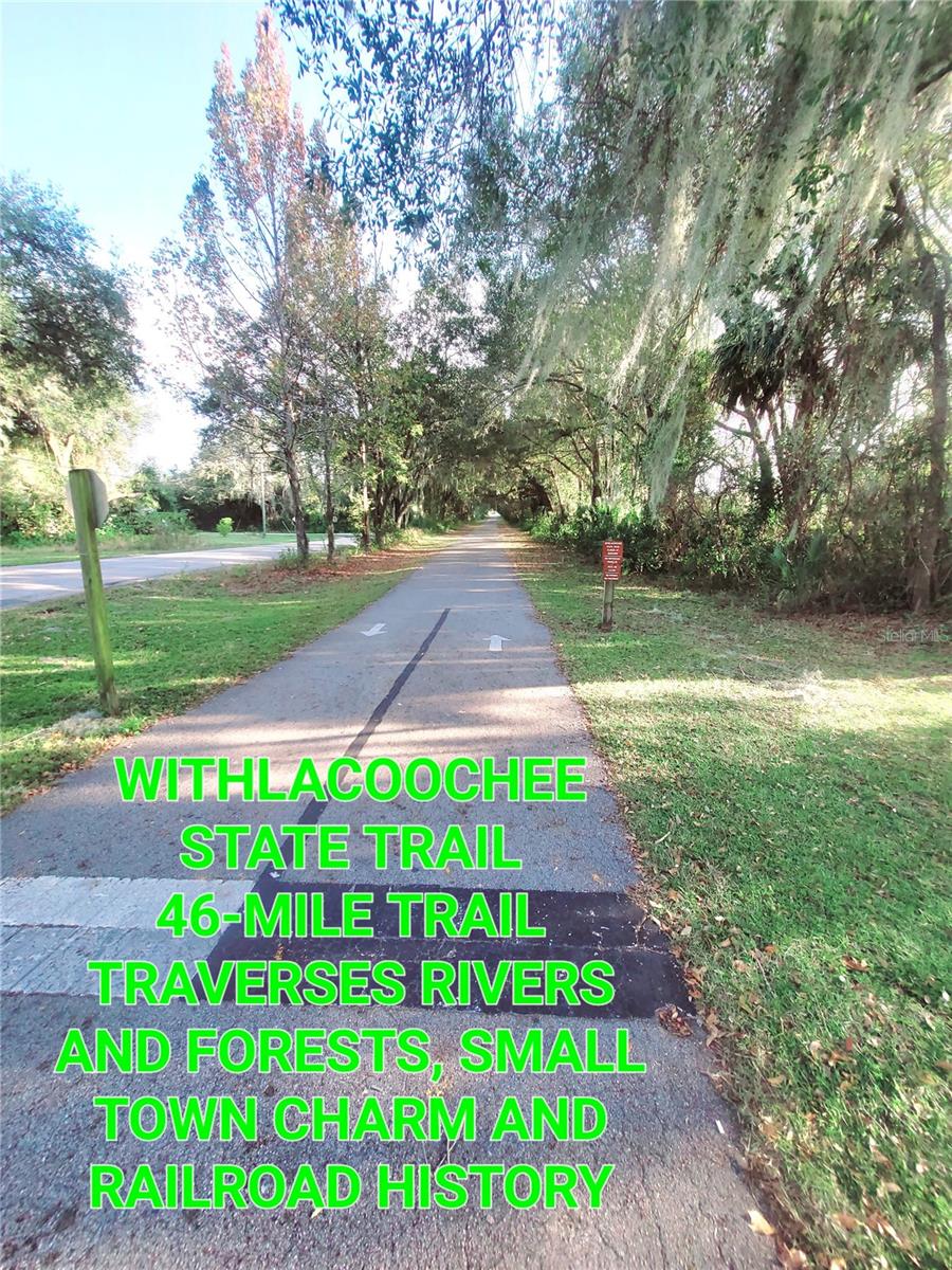 410 LANDING BLVD #1, INVERNESS, FL — photo 30