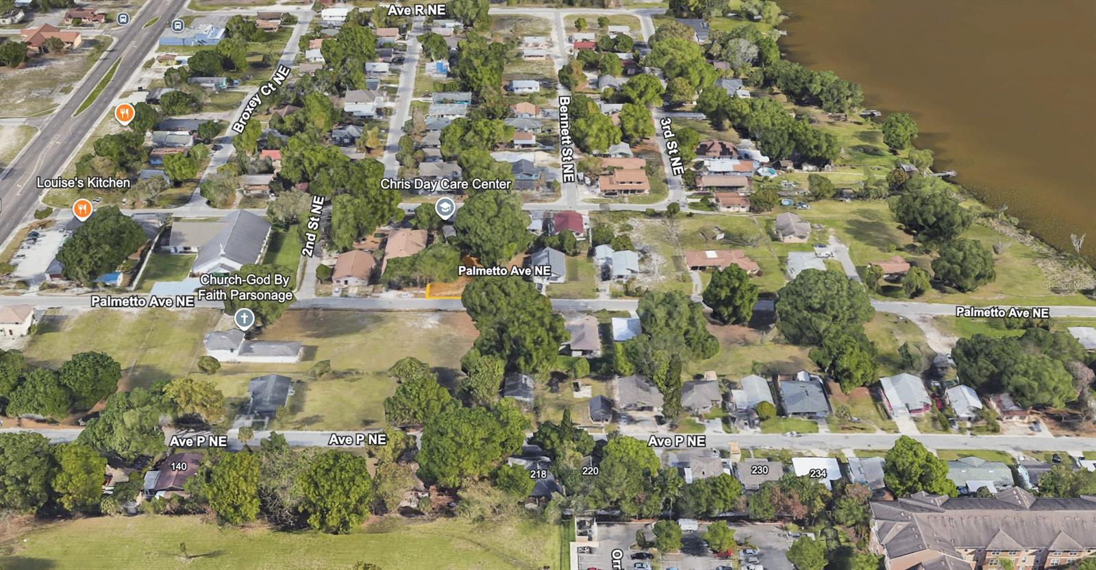 223 PALMETTO AVE NE, WINTER HAVEN, FL — photo 5