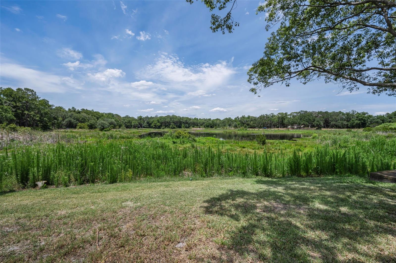 12603 PECAN TREE DR, HUDSON, FL — photo 7