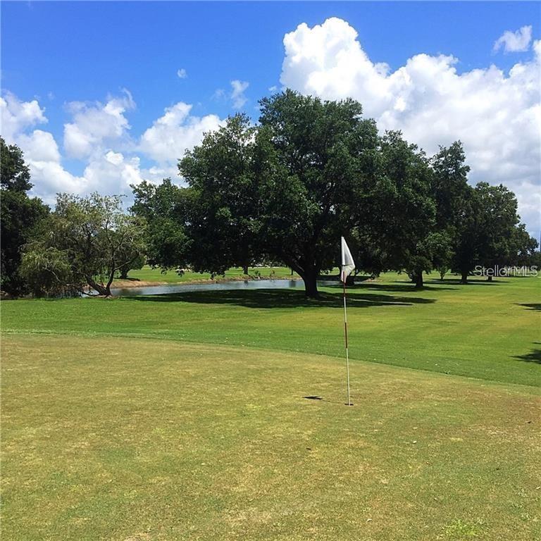 2020 WORLD PARKWAY BLVD #54, CLEARWATER, FL — photo 20