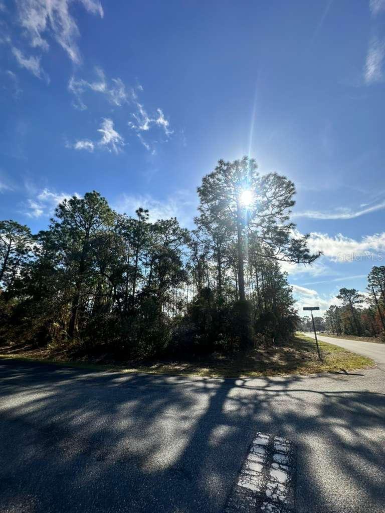 3171 W RANDOLPH LN, CITRUS SPRINGS, FL — photo 2