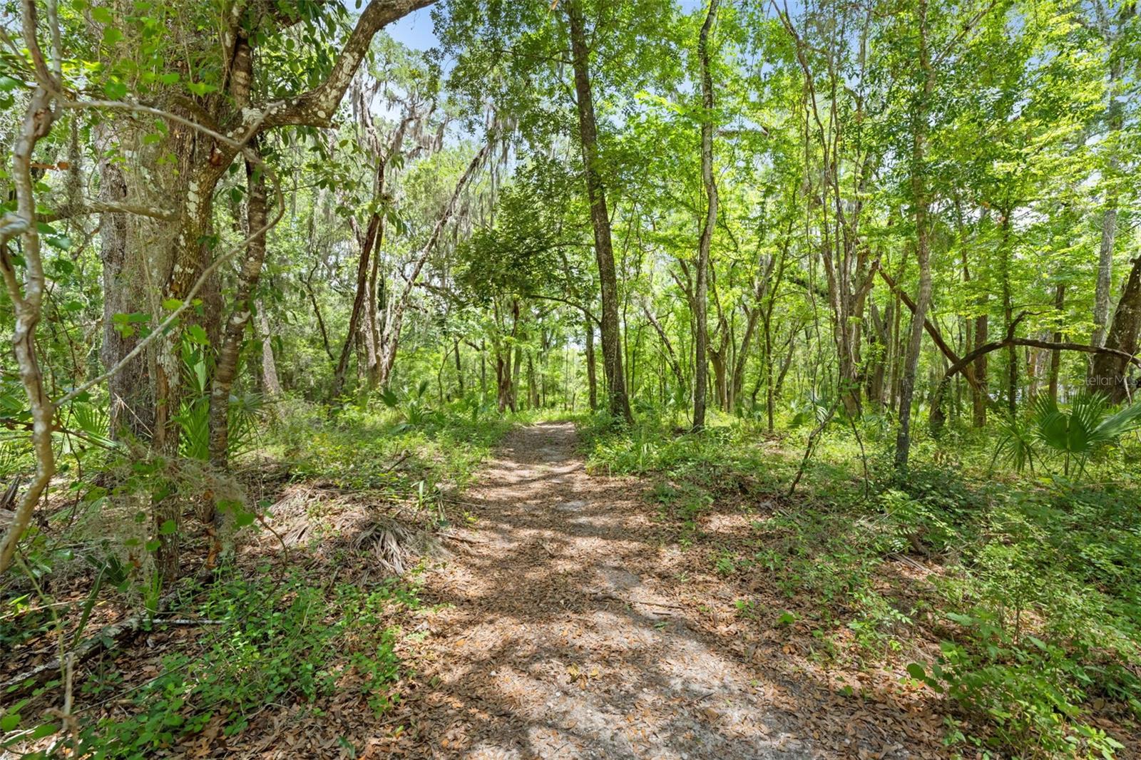 0 RICEBIRD AVE #LOT 10-11, WEEKI WACHEE, FL — photo 6