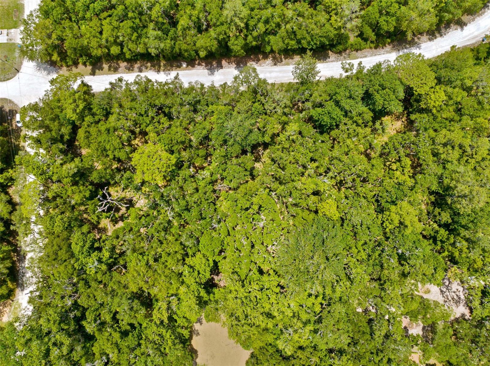 0 RICEBIRD AVE #LOT 10-11, WEEKI WACHEE, FL — photo 9
