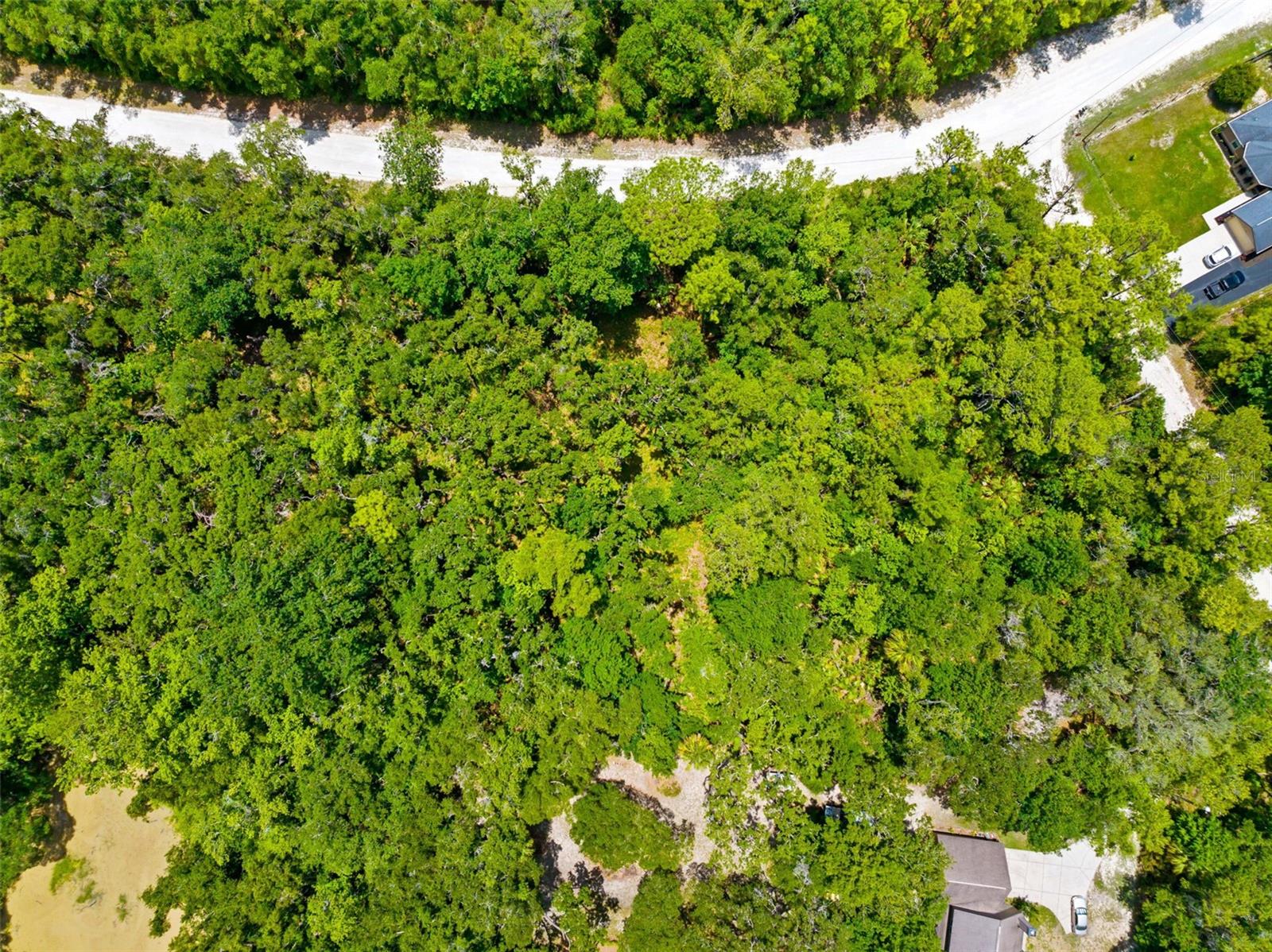 0 RICEBIRD AVE #LOT 10-11, WEEKI WACHEE, FL — photo 10