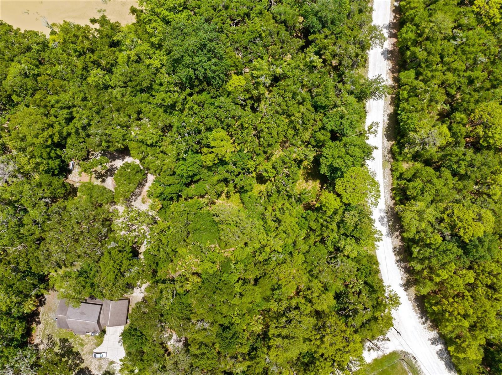 0 RICEBIRD AVE #LOT 10-11, WEEKI WACHEE, FL — photo 11