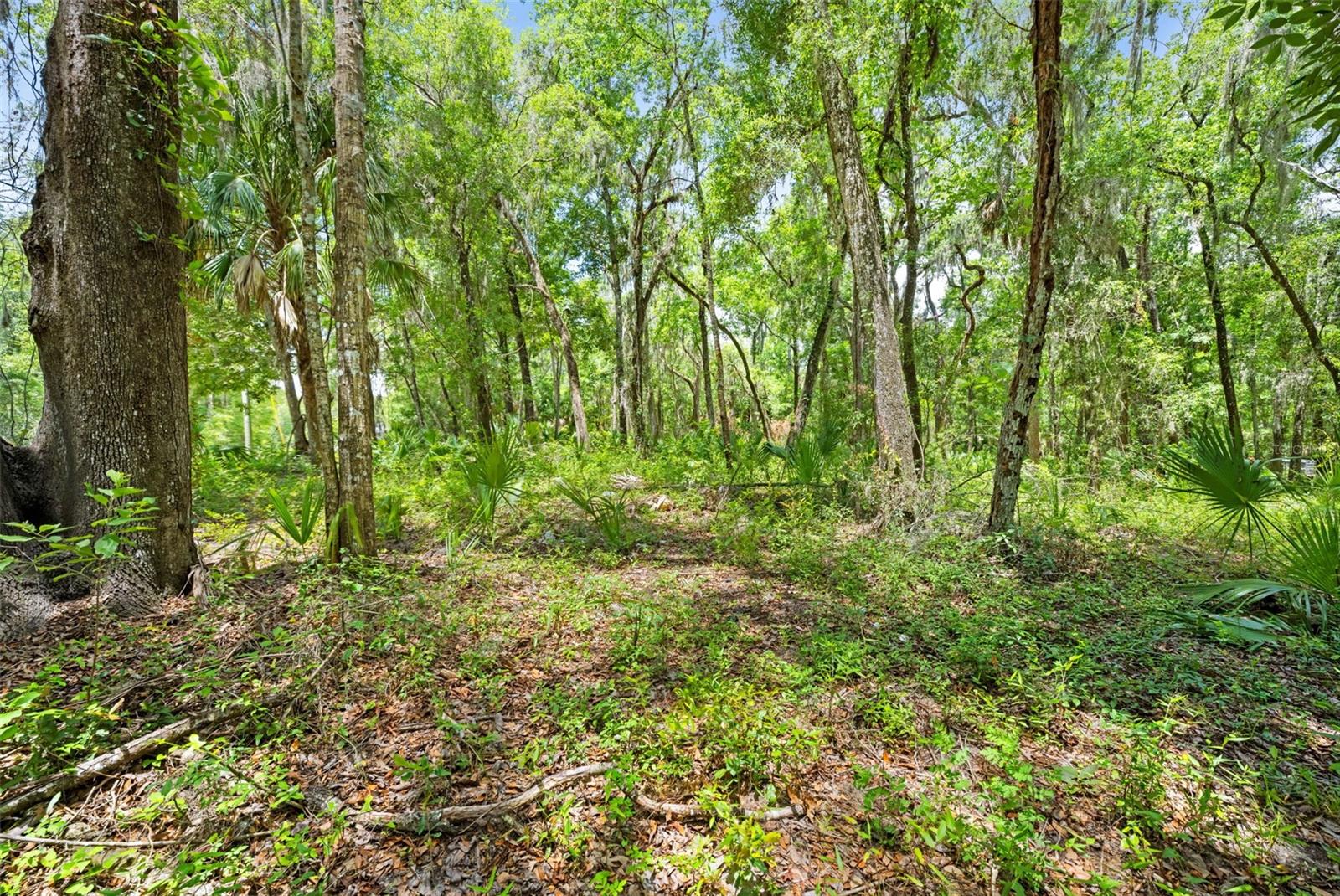 0 RICEBIRD AVE #LOT 10-11, WEEKI WACHEE, FL — photo 15