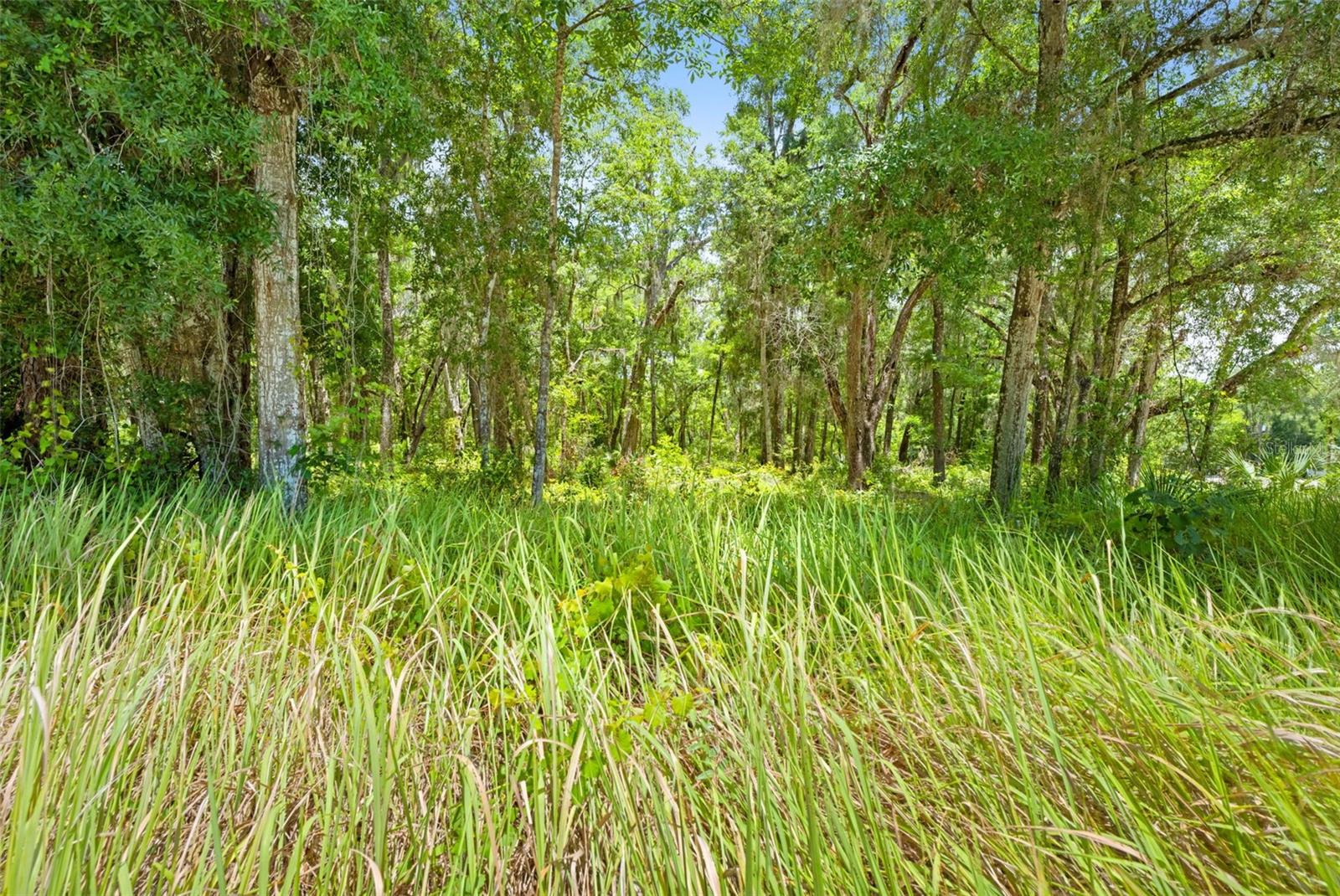 0 RICEBIRD AVE #LOT 10-11, WEEKI WACHEE, FL — photo 17