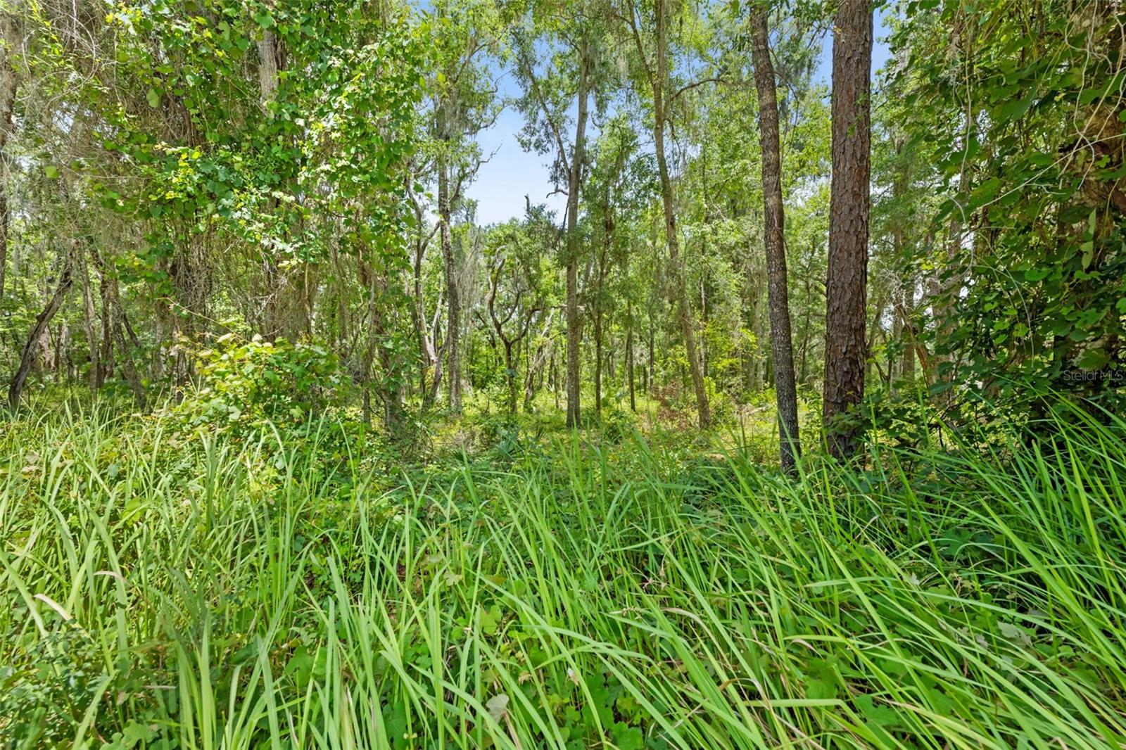 0 RICEBIRD AVE #LOT 10-11, WEEKI WACHEE, FL — photo 24