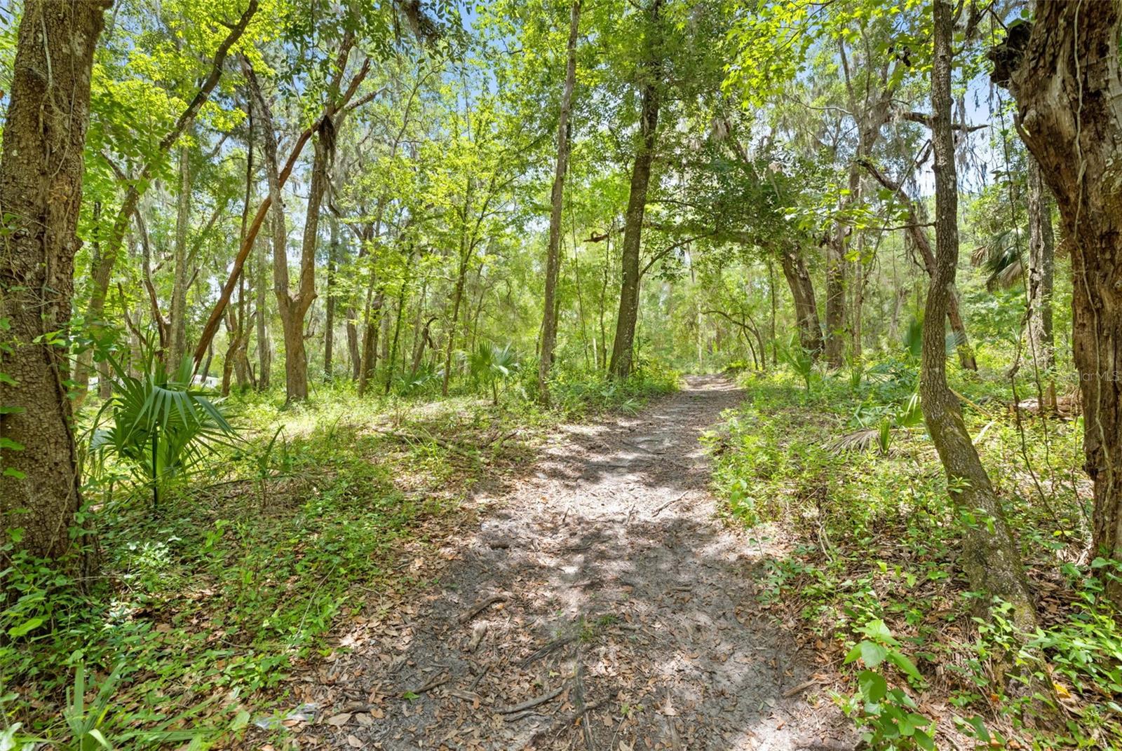 0 RICEBIRD AVE #LOT 10-11, WEEKI WACHEE, FL — photo 25