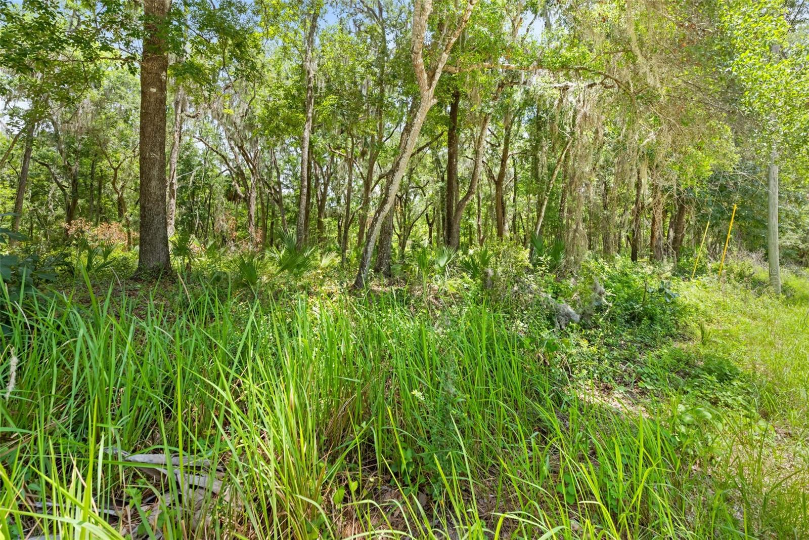 0 RICEBIRD AVE #LOT 10-11, WEEKI WACHEE, FL — photo 26