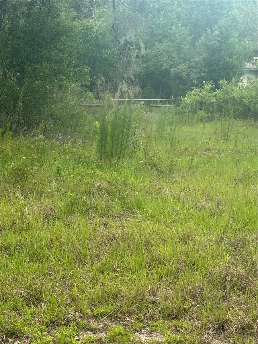 18890 SW 44TH ST, DUNNELLON, FL — photo 17