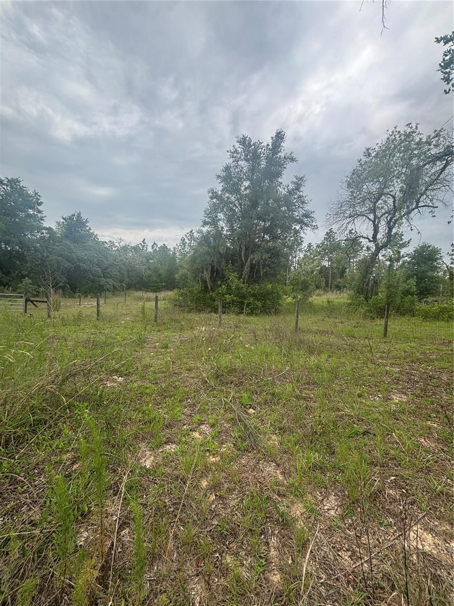 18890 SW 44TH ST, DUNNELLON, FL — photo 21