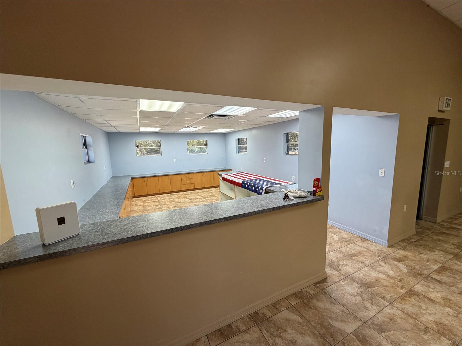 15921 N FLORIDA AVE, LUTZ, FL — photo 10