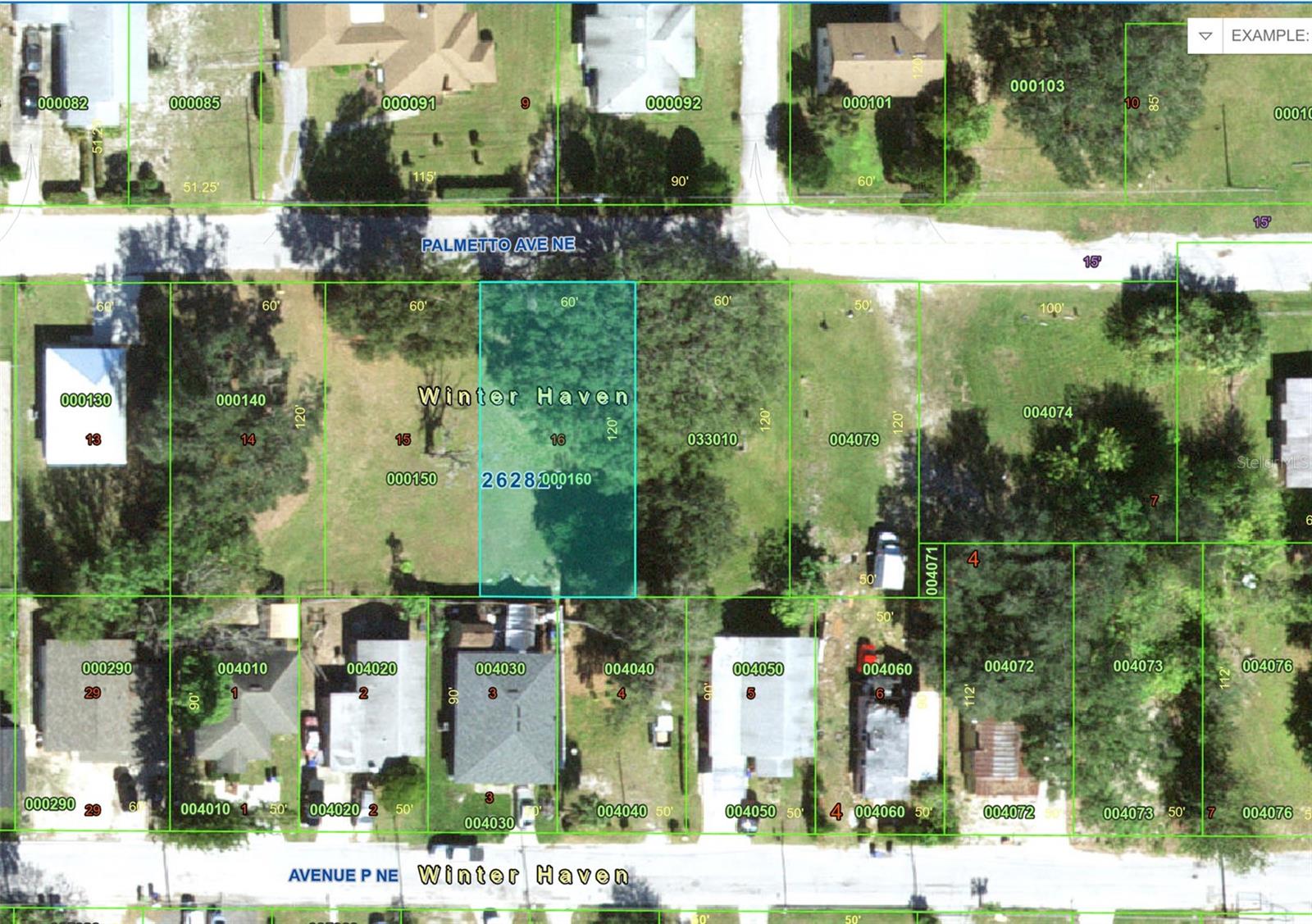 PALMETTO AVE NE, WINTER HAVEN, FL — photo 3