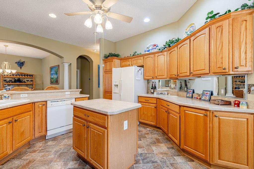 877 WINIFRED WAY, THE VILLAGES, FL — photo 8