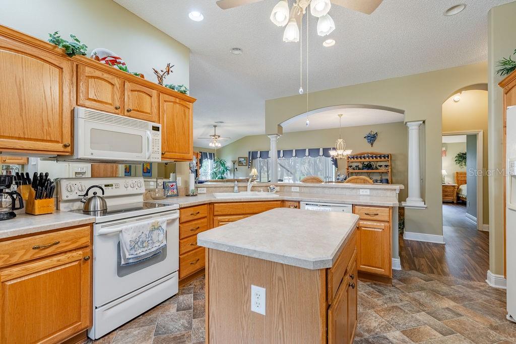 877 WINIFRED WAY, THE VILLAGES, FL — photo 9