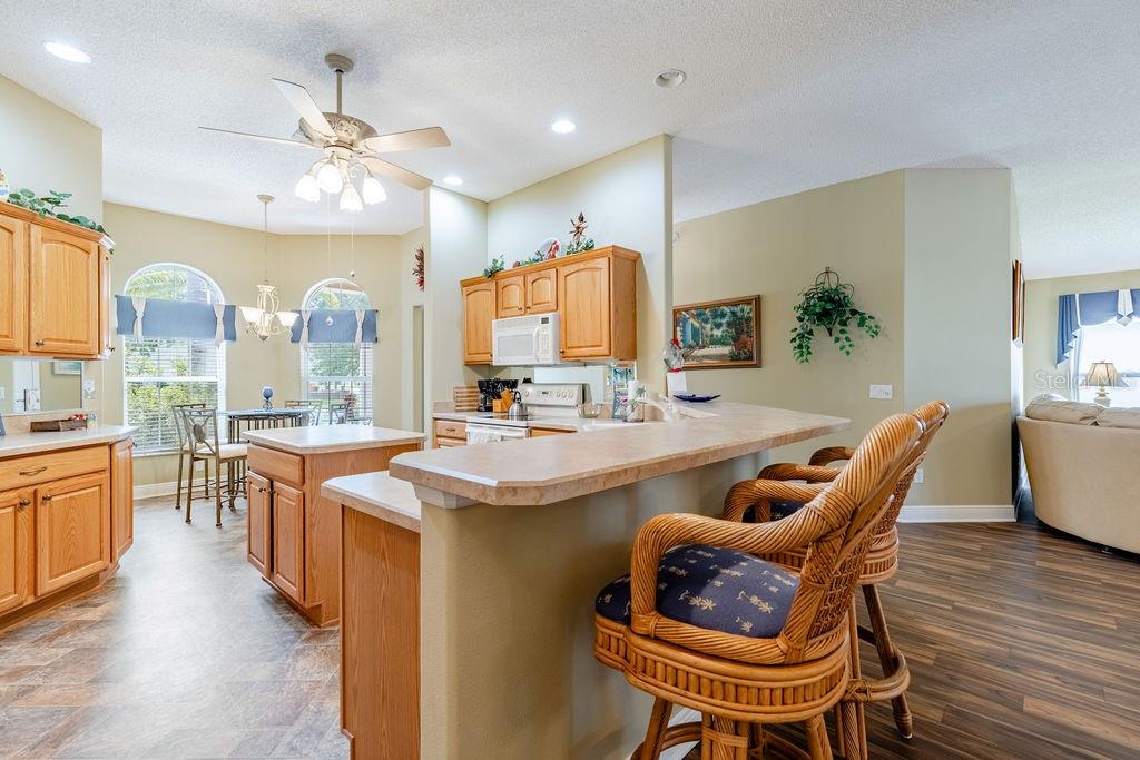 877 WINIFRED WAY, THE VILLAGES, FL — photo 10