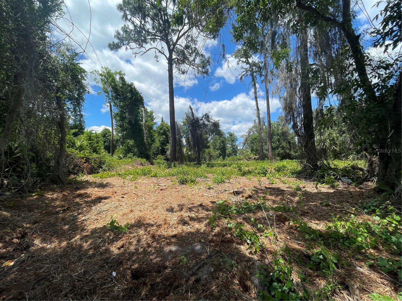COUNTY ROAD 42, UMATILLA, FL — photo 2