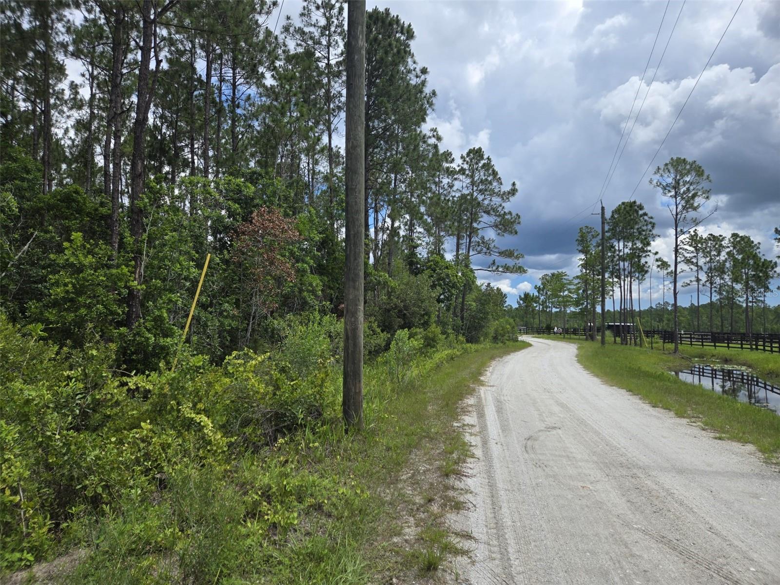 1135 OMEGA RANCH RD #4&5, NEW SMYRNA BEACH, FL — photo 3