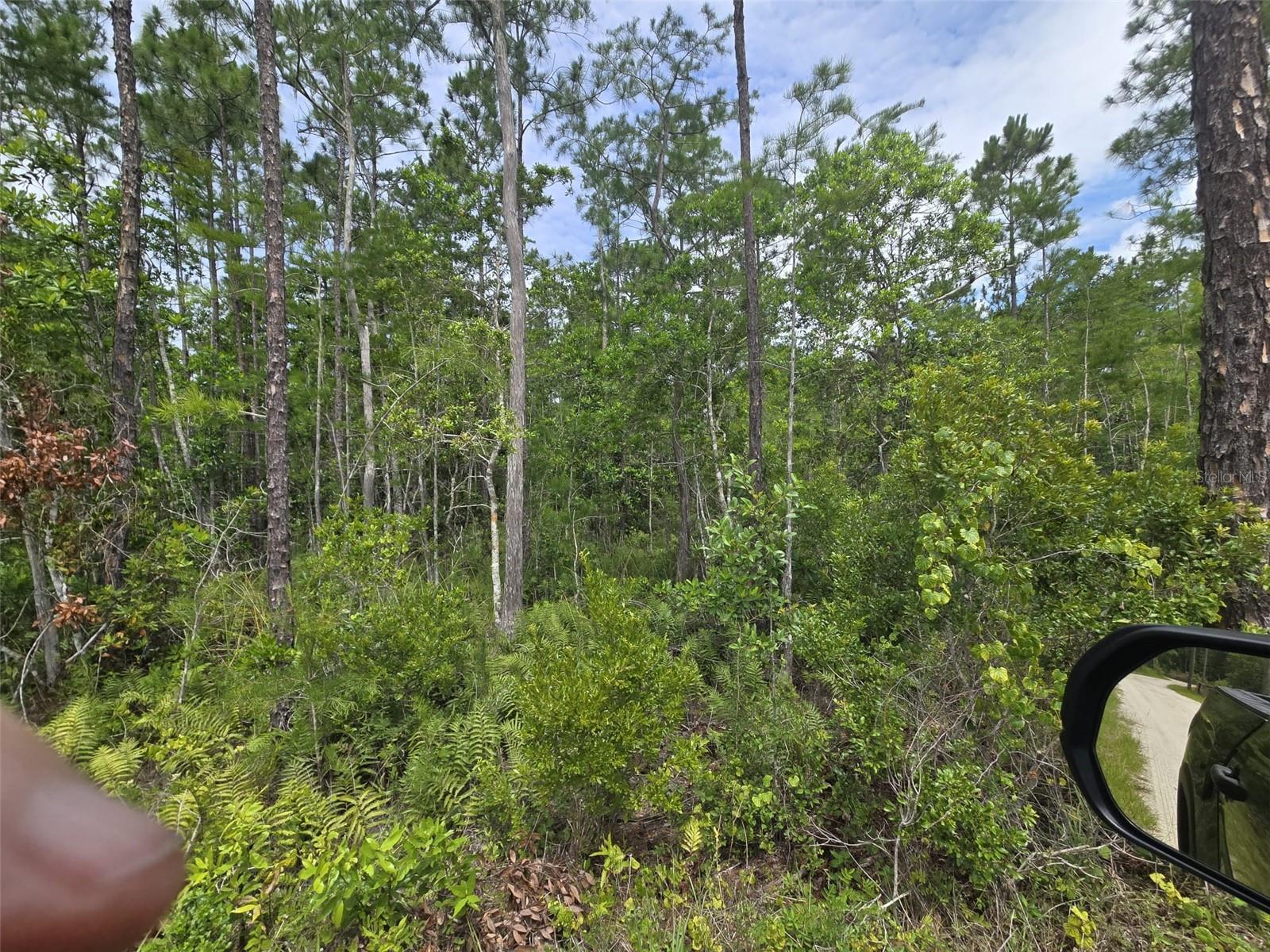 1135 OMEGA RANCH RD #4&5, NEW SMYRNA BEACH, FL — photo 4