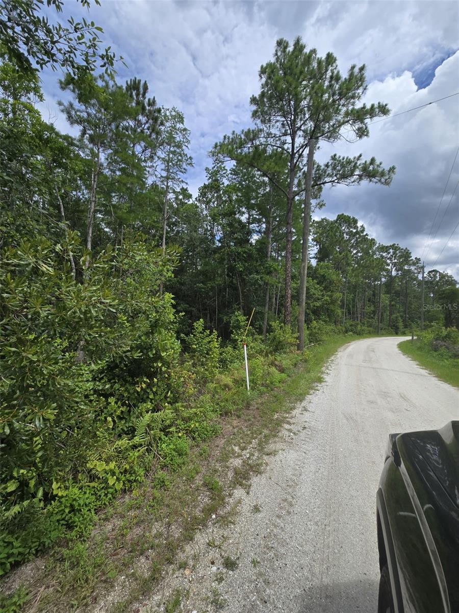 1135 OMEGA RANCH RD #4&5, NEW SMYRNA BEACH, FL — photo 10