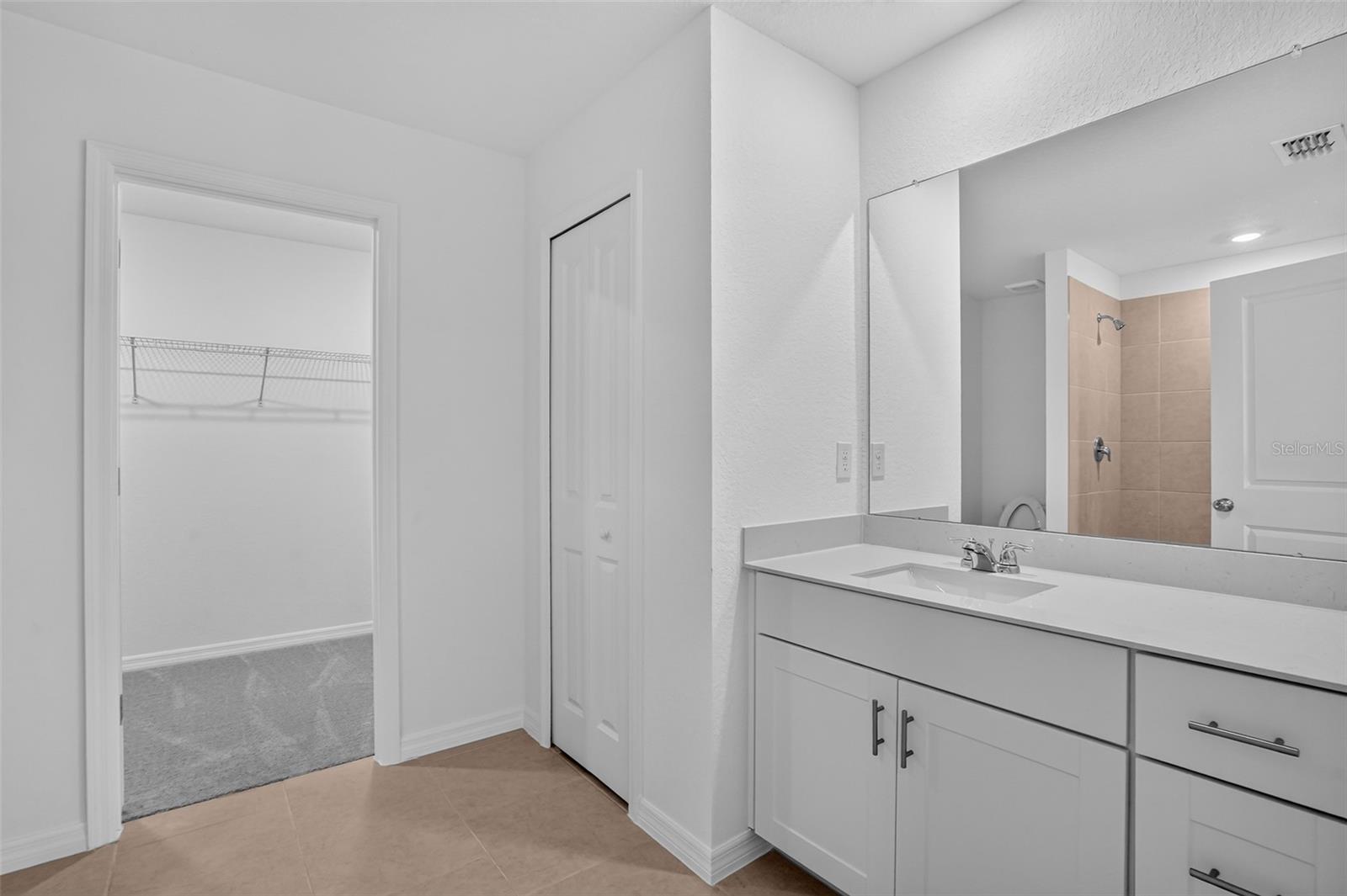 3616 AMBERSWEET XING, PARRISH, FL — photo 29