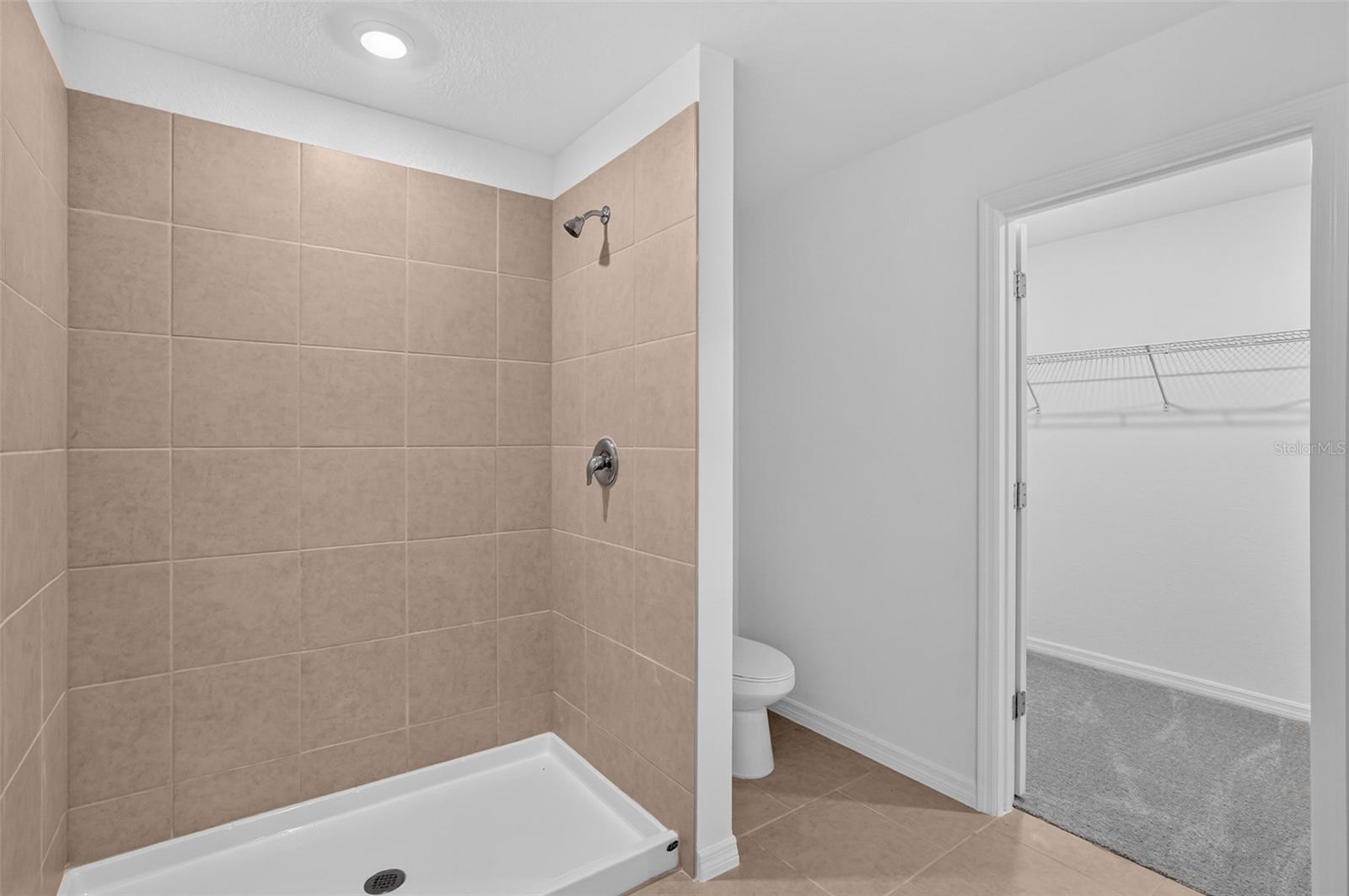 3616 AMBERSWEET XING, PARRISH, FL — photo 30