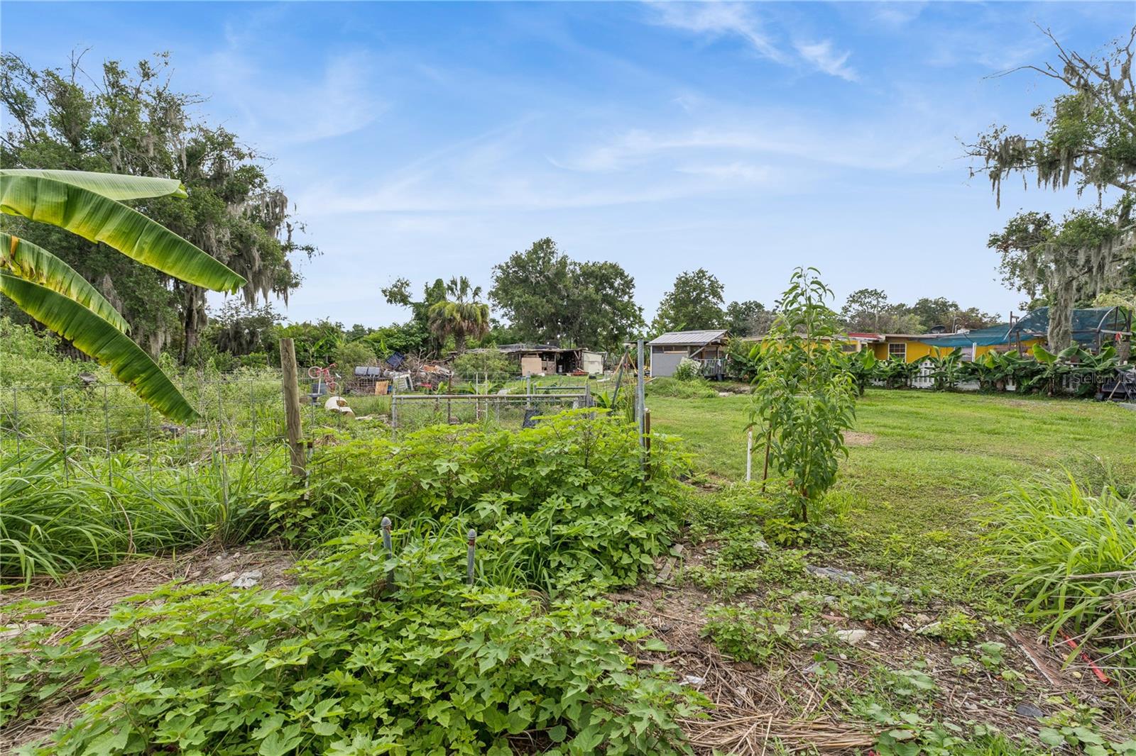 825 COOK RD, MULBERRY, FL — photo 24