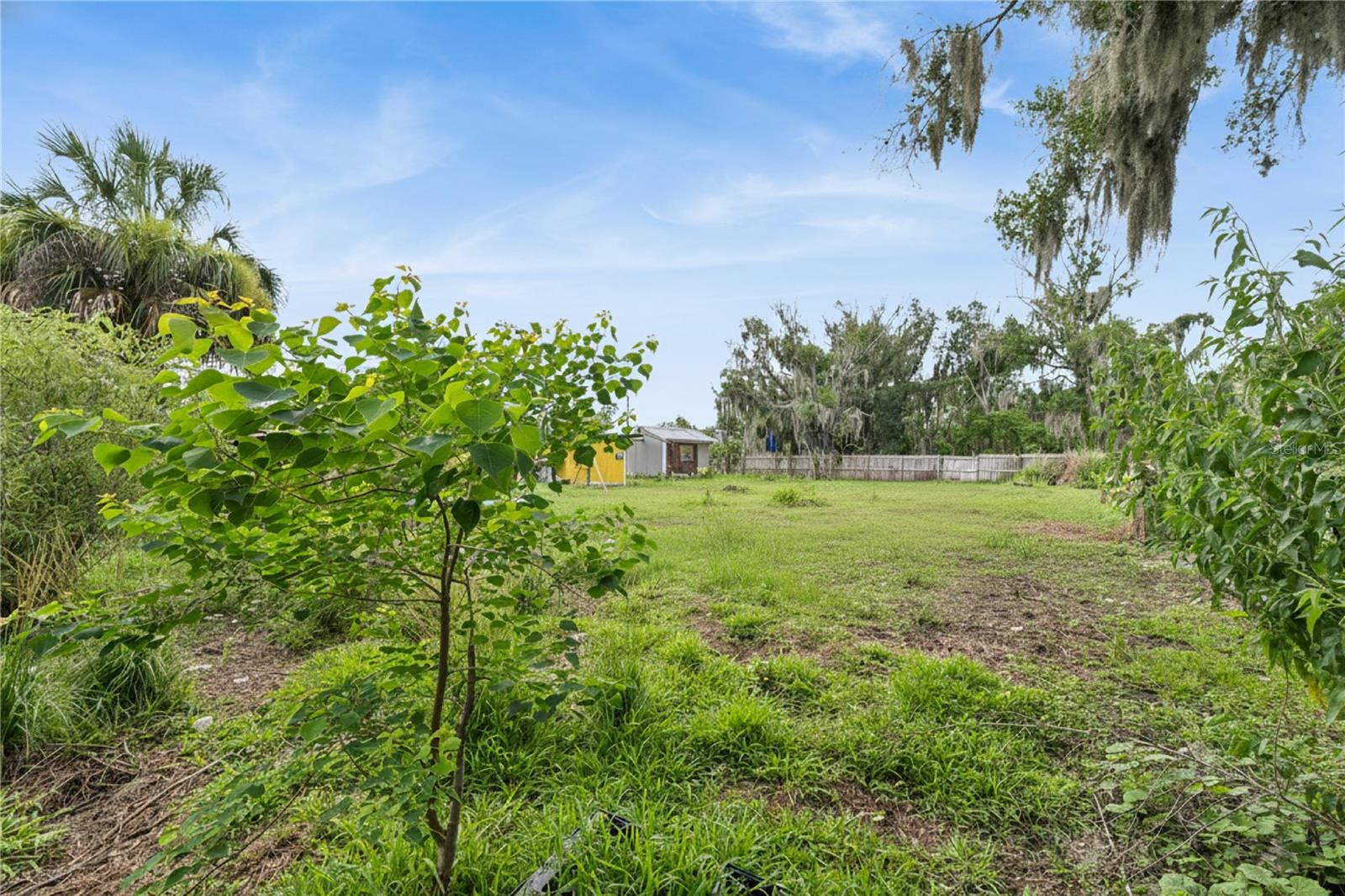 825 COOK RD, MULBERRY, FL — photo 25