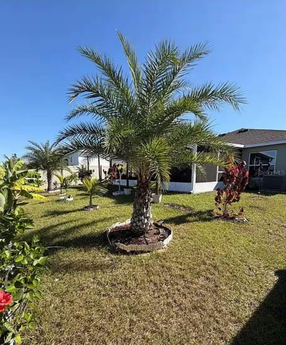 815 OFANTO WAY, HAINES CITY, FL — photo 20