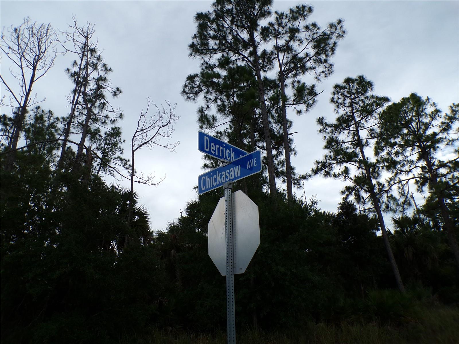 CHICKASAW AVE, NORTH PORT, FL — photo 7