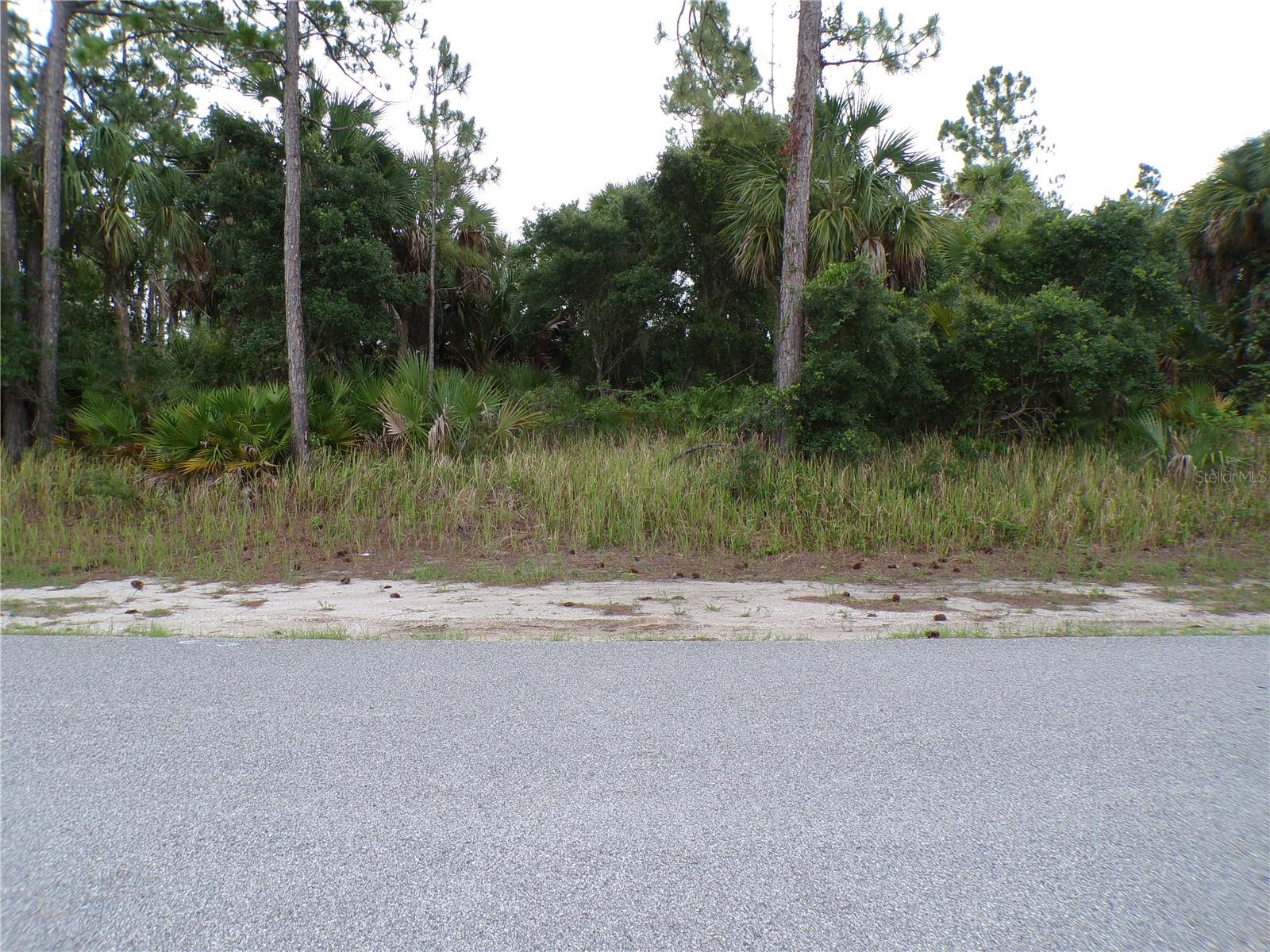 CHICKASAW AVE, NORTH PORT, FL — photo 11