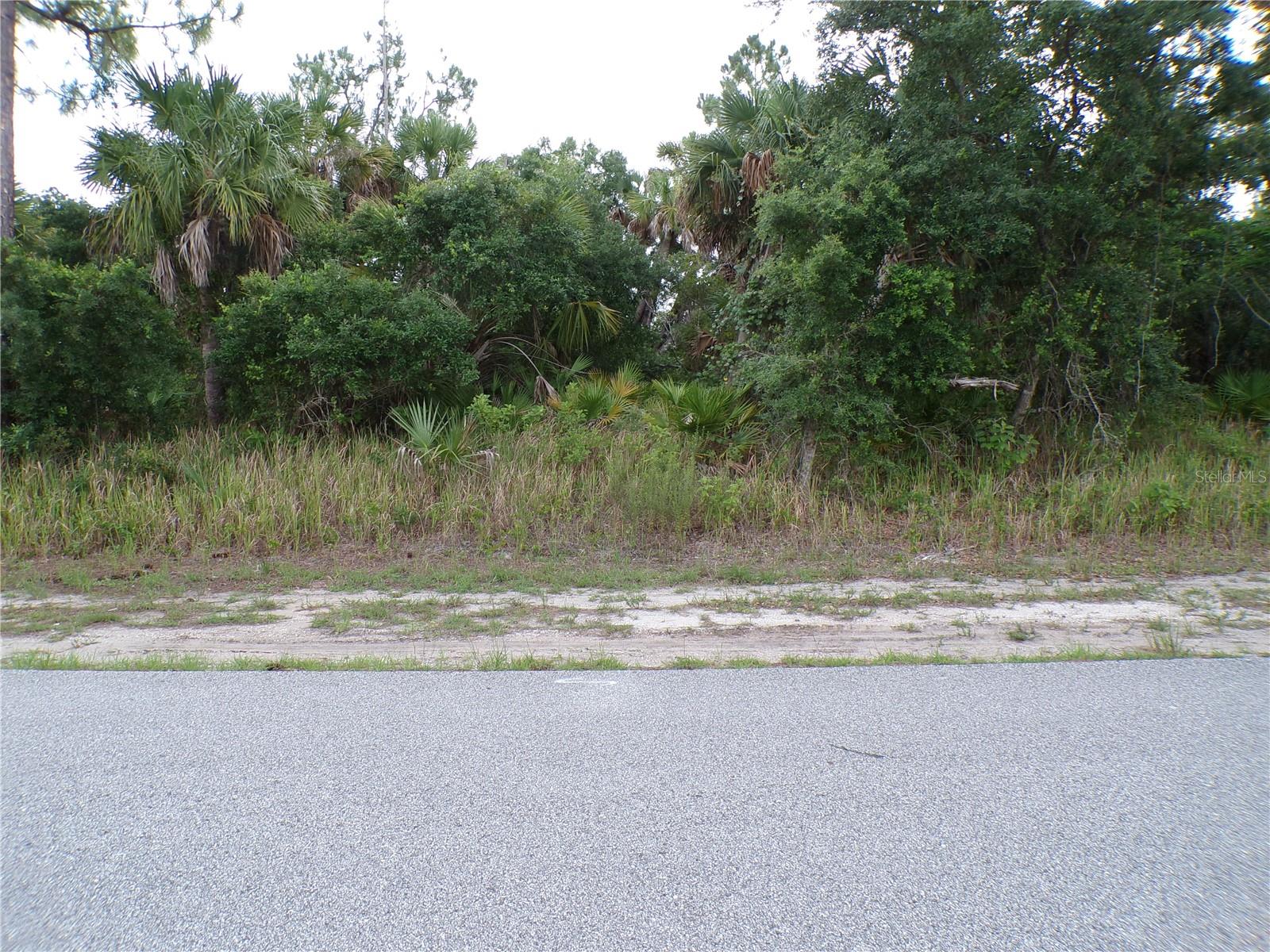 CHICKASAW AVE, NORTH PORT, FL — photo 12