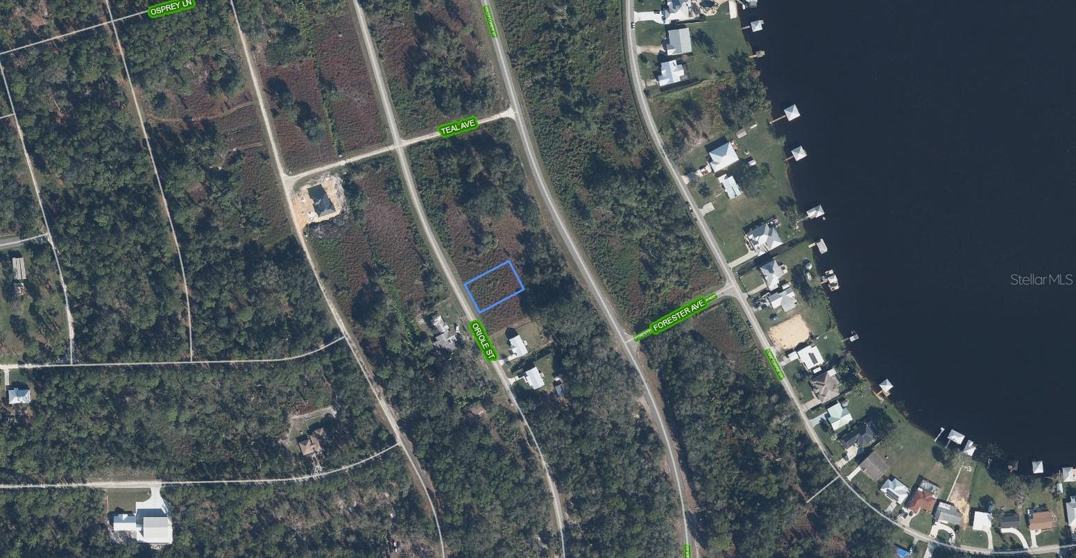 1025 ORIOLE ST, LAKE PLACID, FL — photo 2