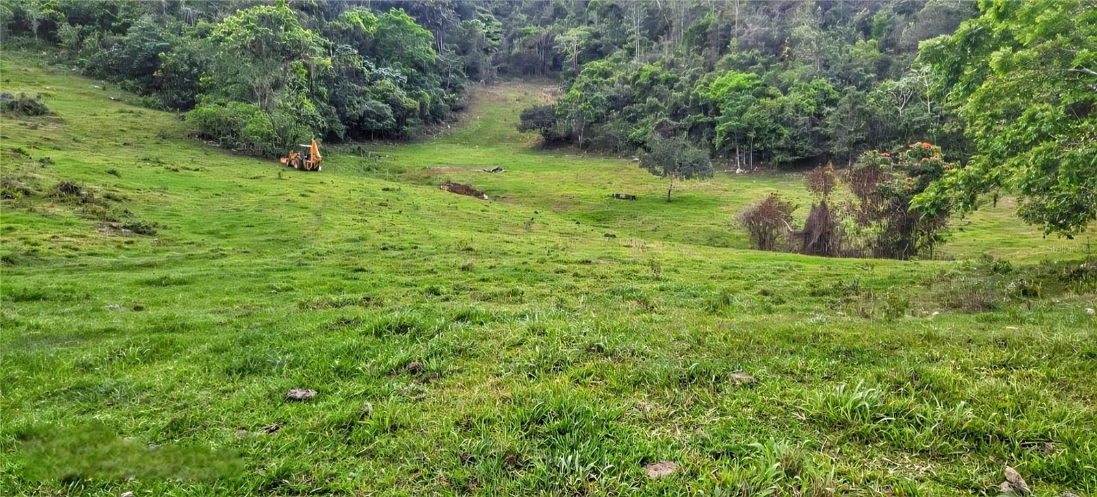 Carr 626 BO CALICHOZA, ARECIBO, PR — photo 10