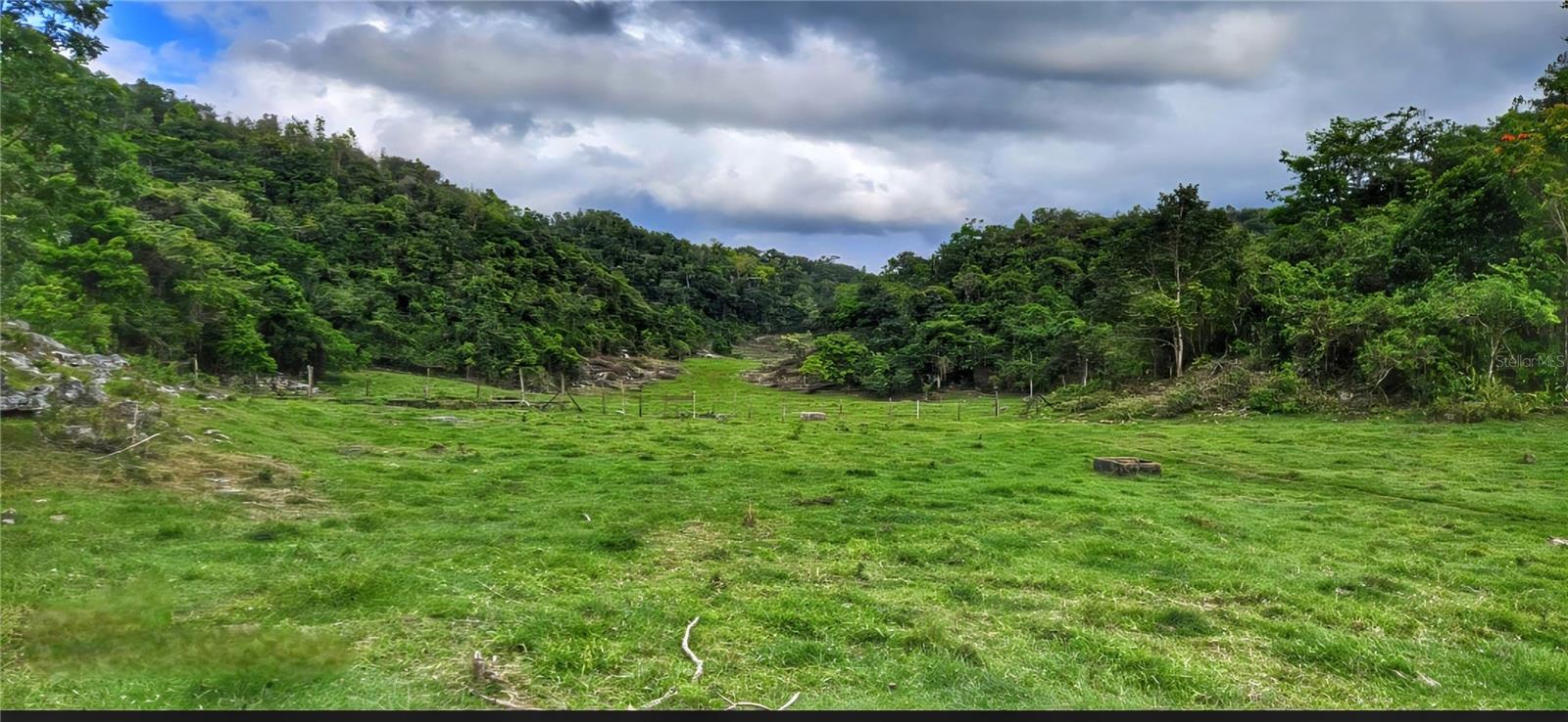 Carr 626 BO CALICHOZA, ARECIBO, PR — photo 11