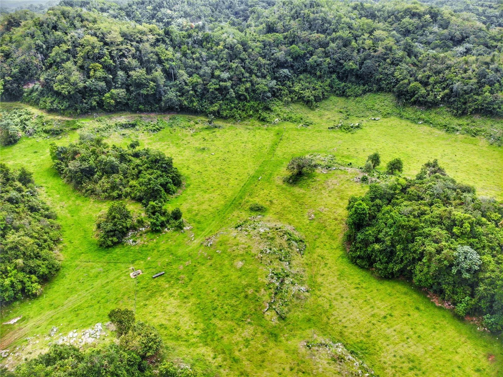 Carr 626 BO CALICHOZA, ARECIBO, PR — photo 2